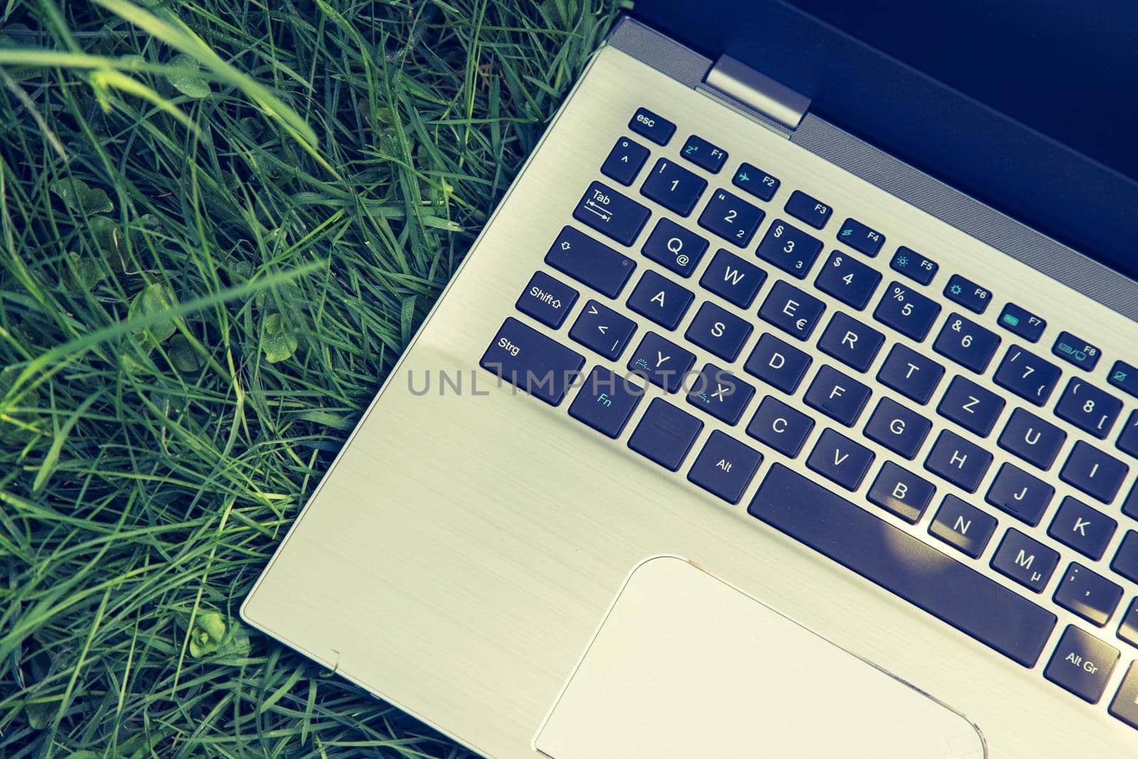 Close up of laptop lying in the green grass, studying and learning outdoors in the park