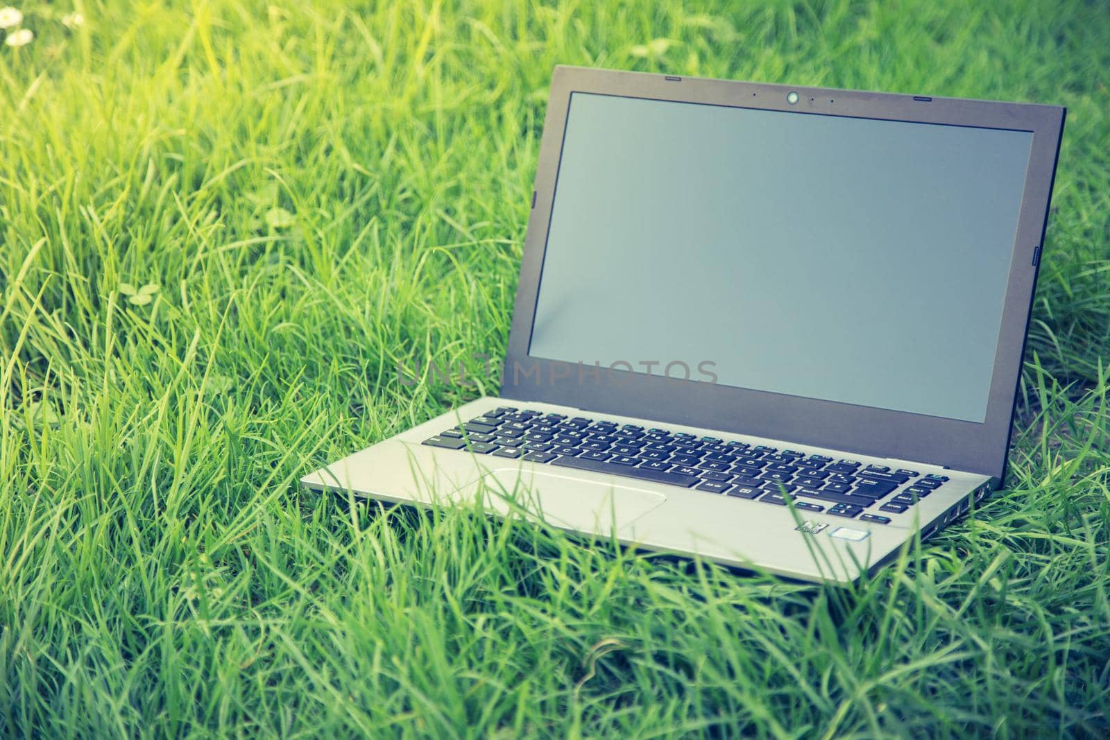 Close up of laptop lying in the green grass, studying and learning outdoors in the park