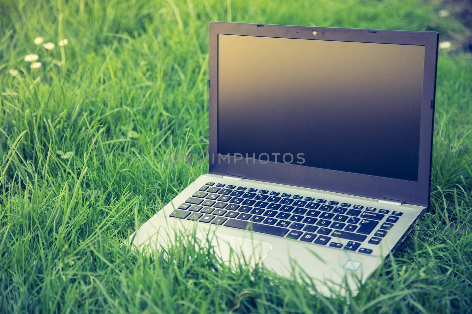 Close up of laptop lying in the green grass, studying and learning outdoors in the park