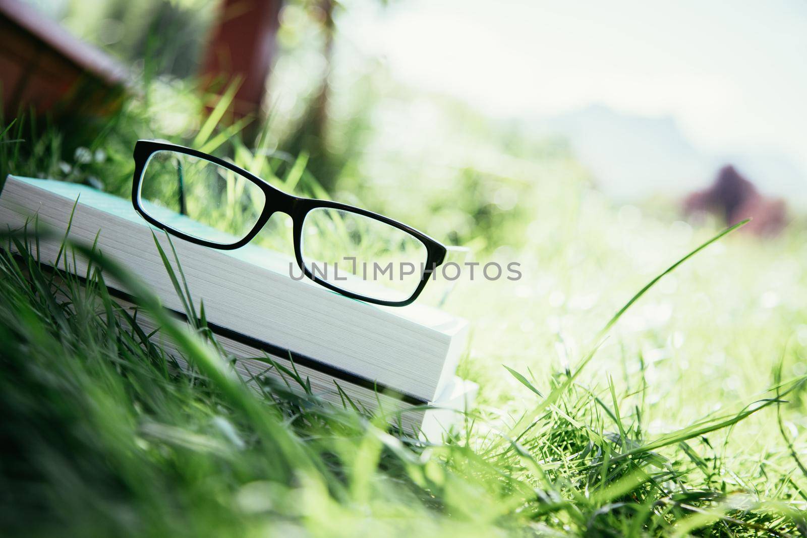 Studying outdoors: Glasses on book outdoors in the park, spring time by Daxenbichler