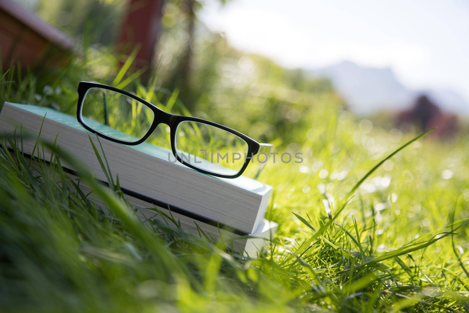 Black glasses and book outdoors in the park, summer time