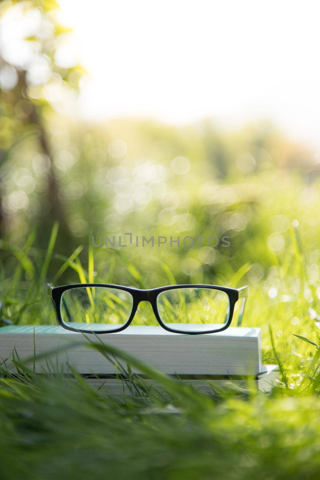 Black glasses and book outdoors in the park, summer time