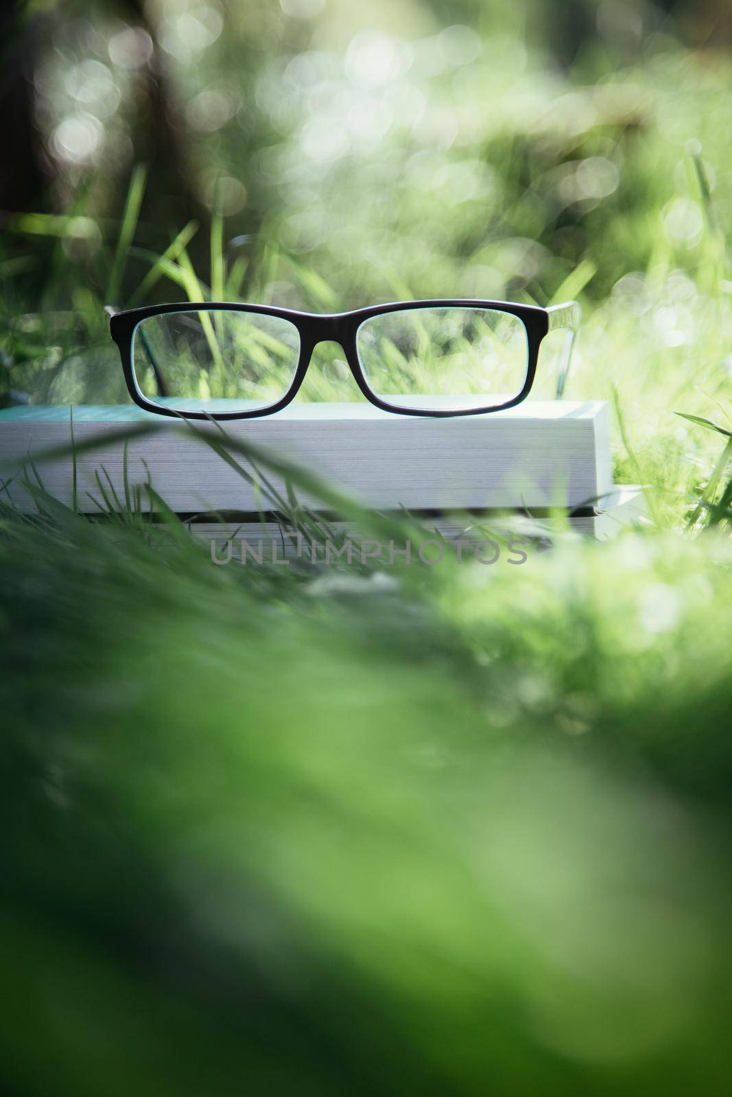 Studying outdoors: Glasses on book outdoors in the park, spring time by Daxenbichler