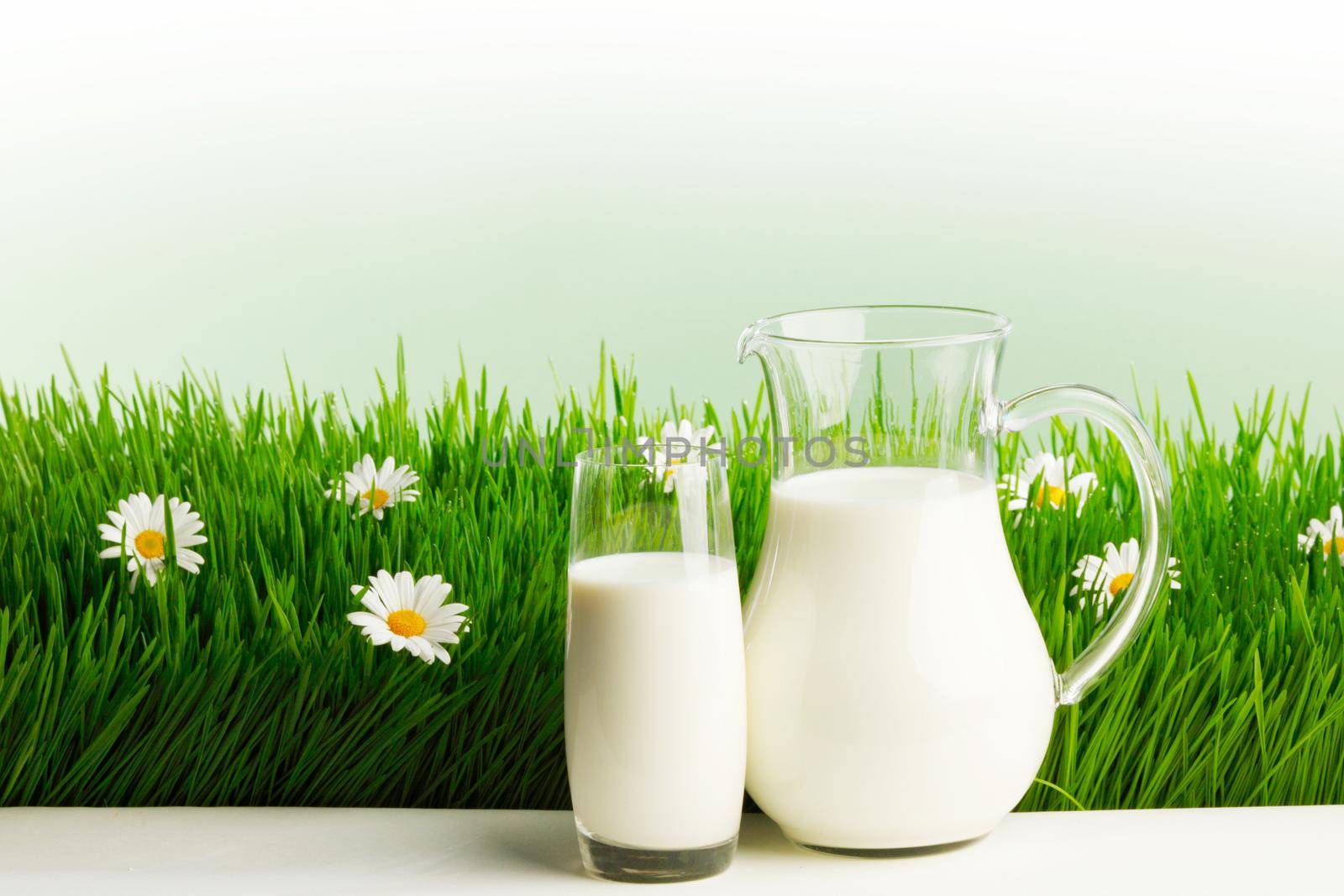 Glass of milk and jar on fresh grass meadow with chamomiles