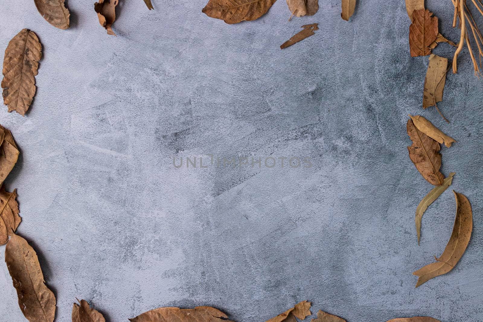 Marbling gray background with dried leaves on the edge by eagg13