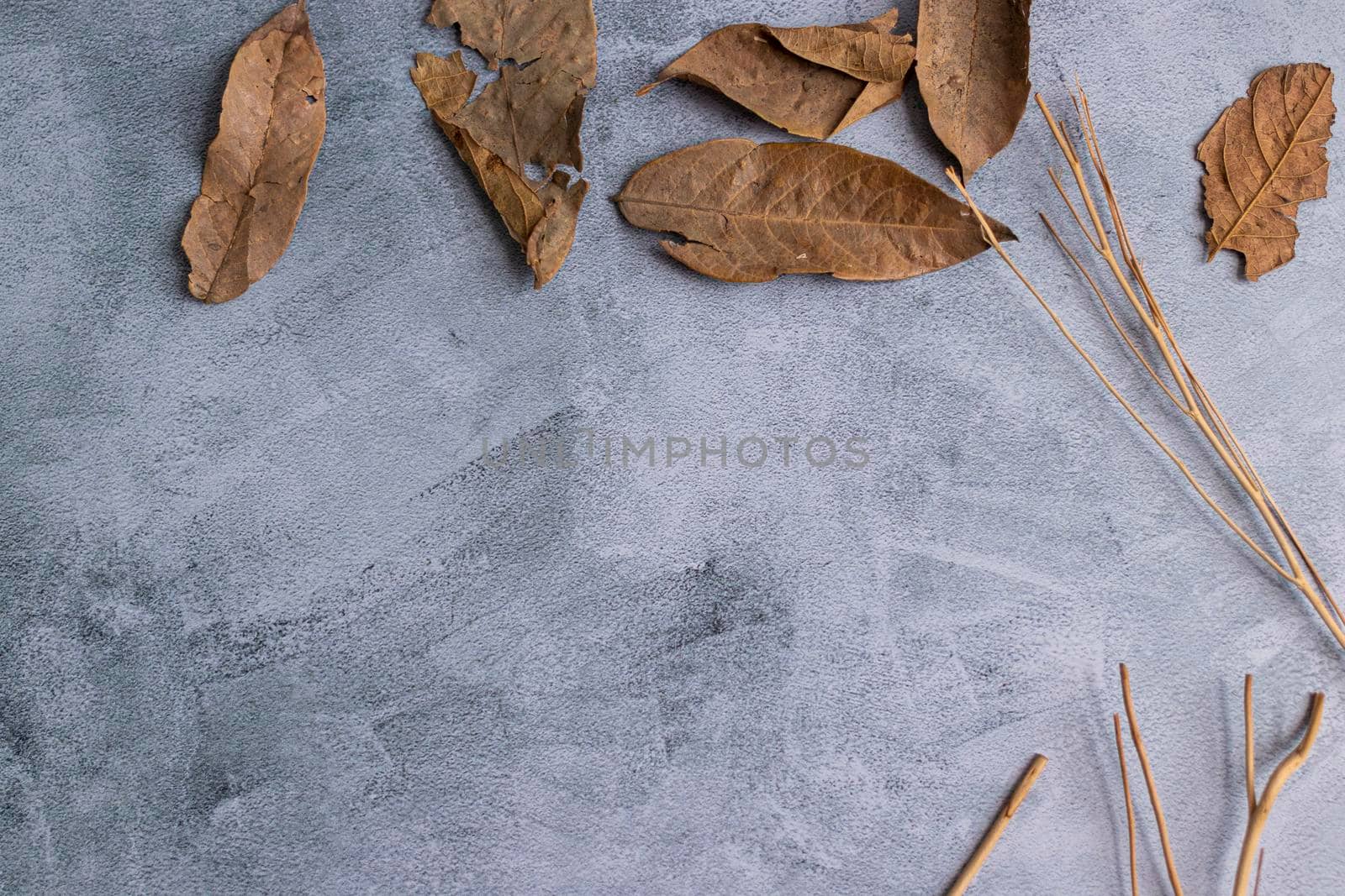 Marbling gray background with dried leaves on the edge