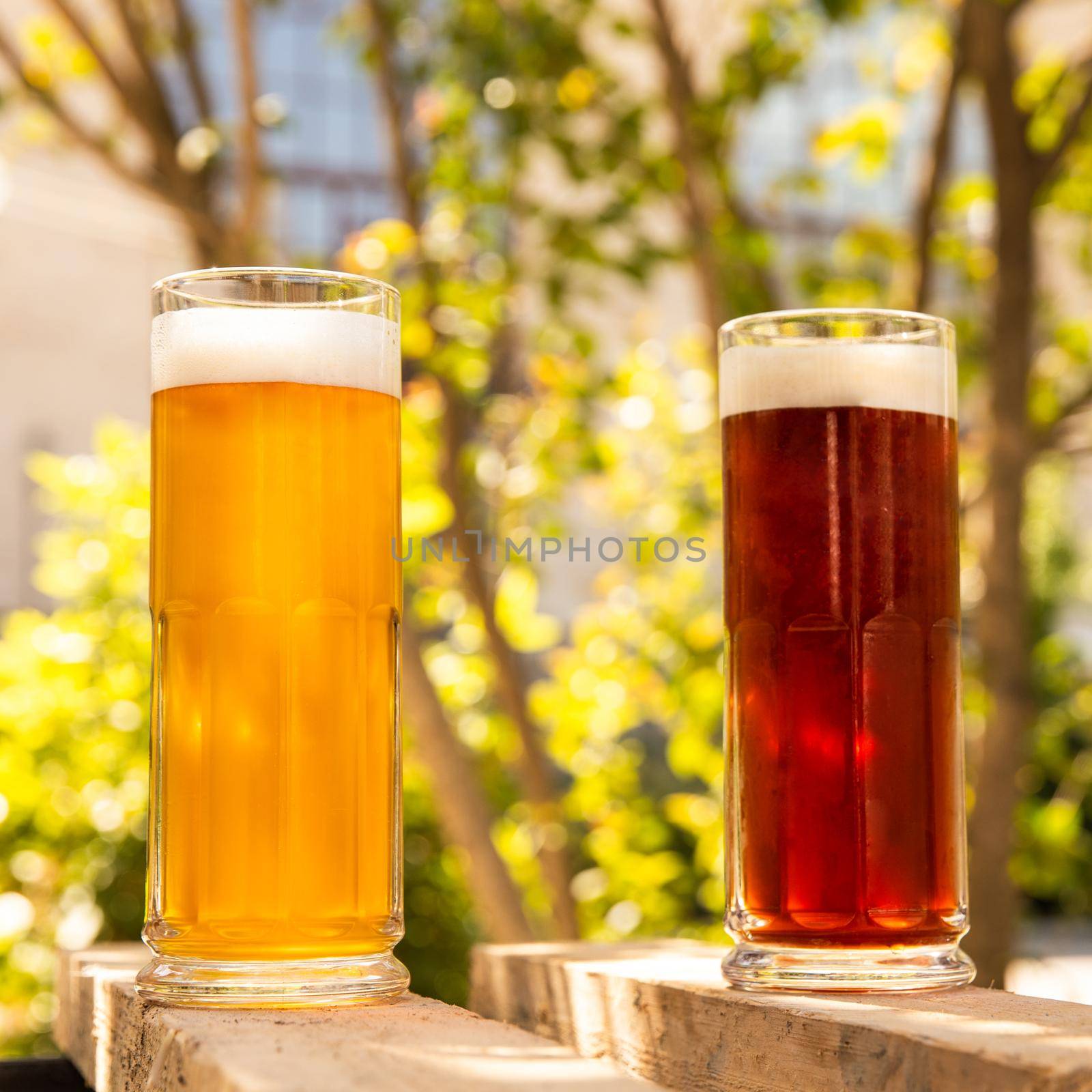 White and black beer side by side with green background