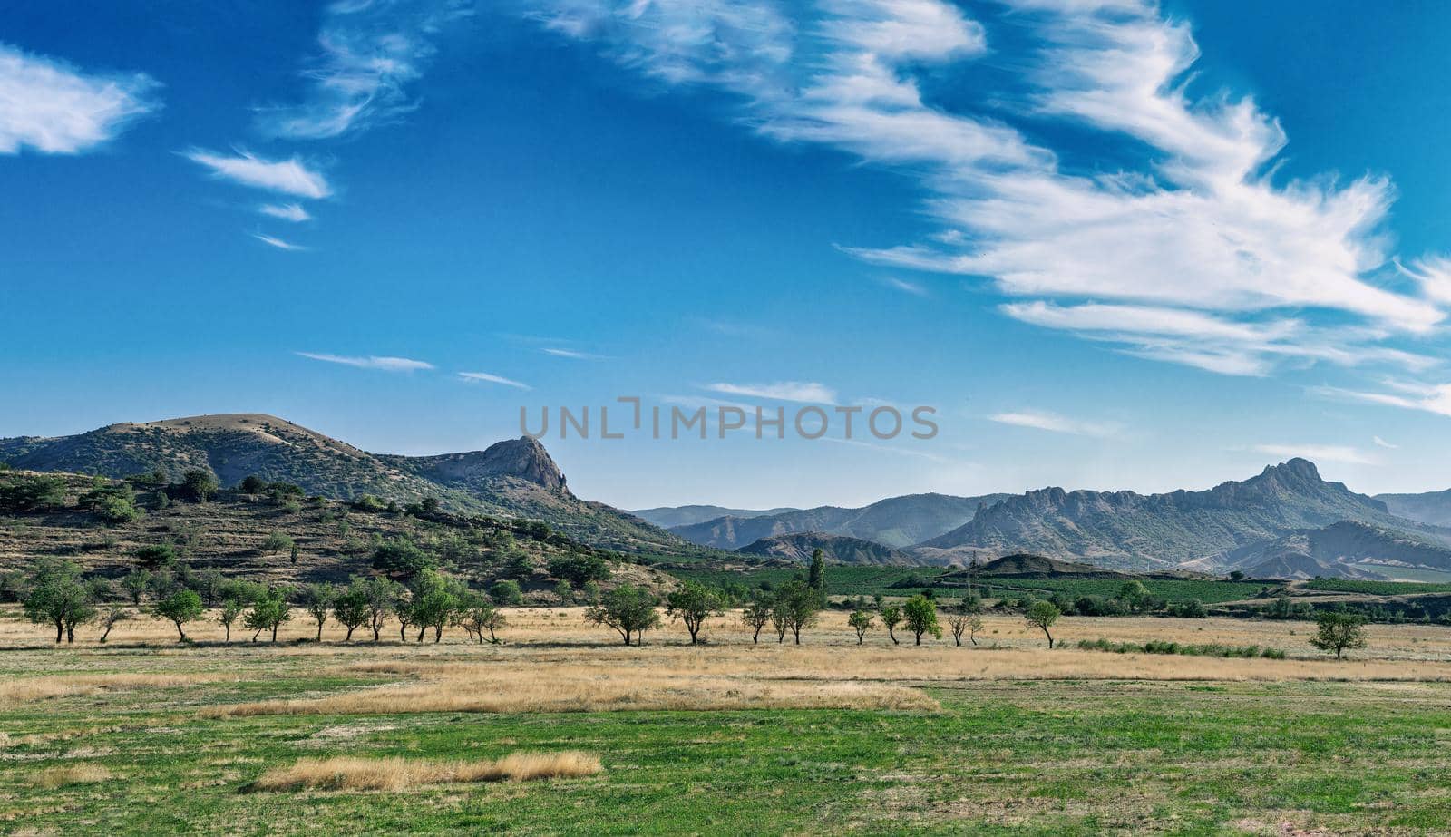 Beautiful scenery.Bright summer landscape with mountains,field,threes and amazing blue sky.Scenic image of fairy-tale Landscape in sunlit with Mountain on background.Hintersee lake.Gorgeous landscape