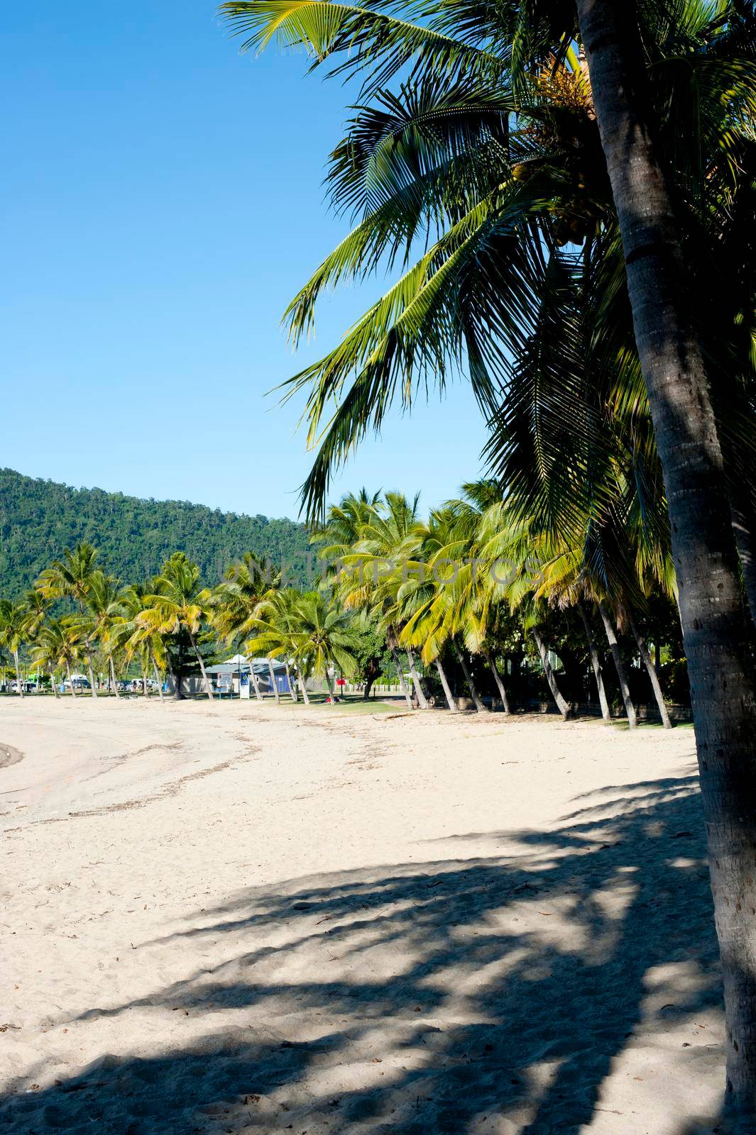 View along a deserted Airlie Beach, Queensland by stockarch