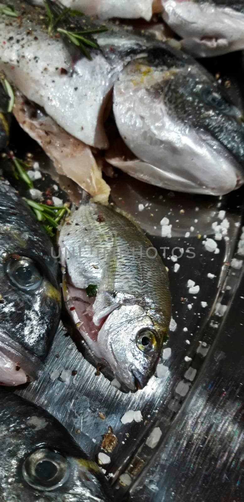 Fresh Fish On Tray Close Up