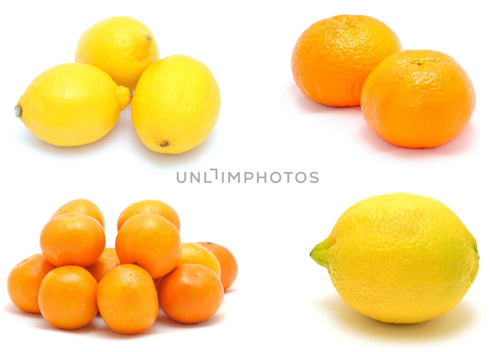 A photo collection collage of tasty fresh citrus fruit on white background.