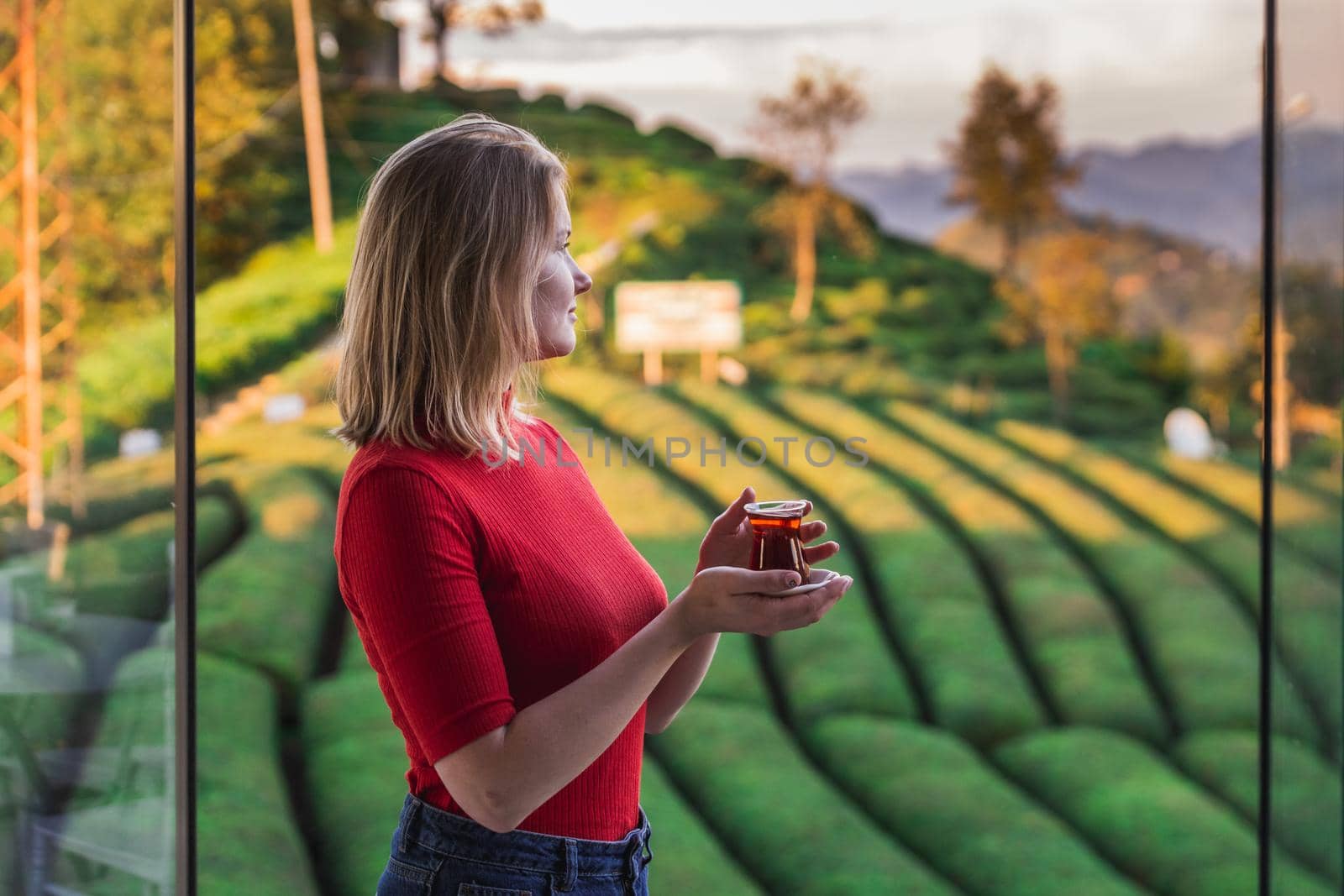 Beautiful lady in a red blouse holding traditional tea cup full with local hot beverage at the tea plantation in Haremtepe Ceceva village, Rize, Turkey.