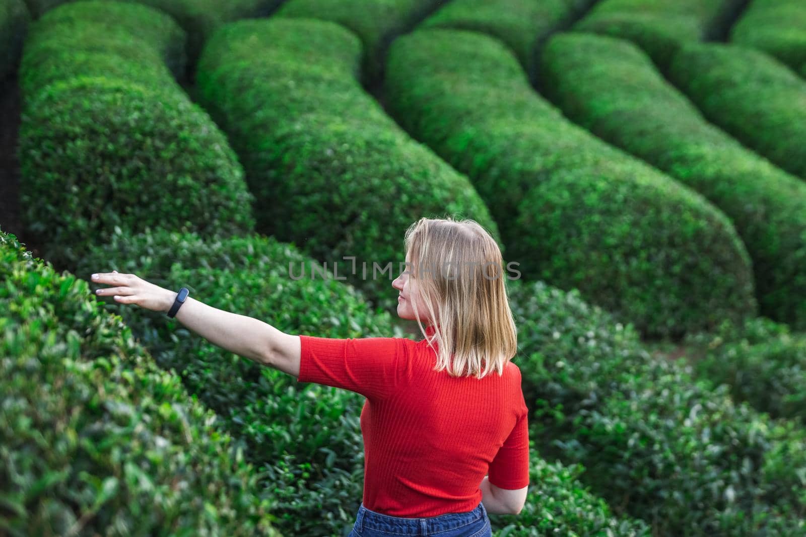 Tea plantations near Rize in Turkey editorial by RuslanKphoto