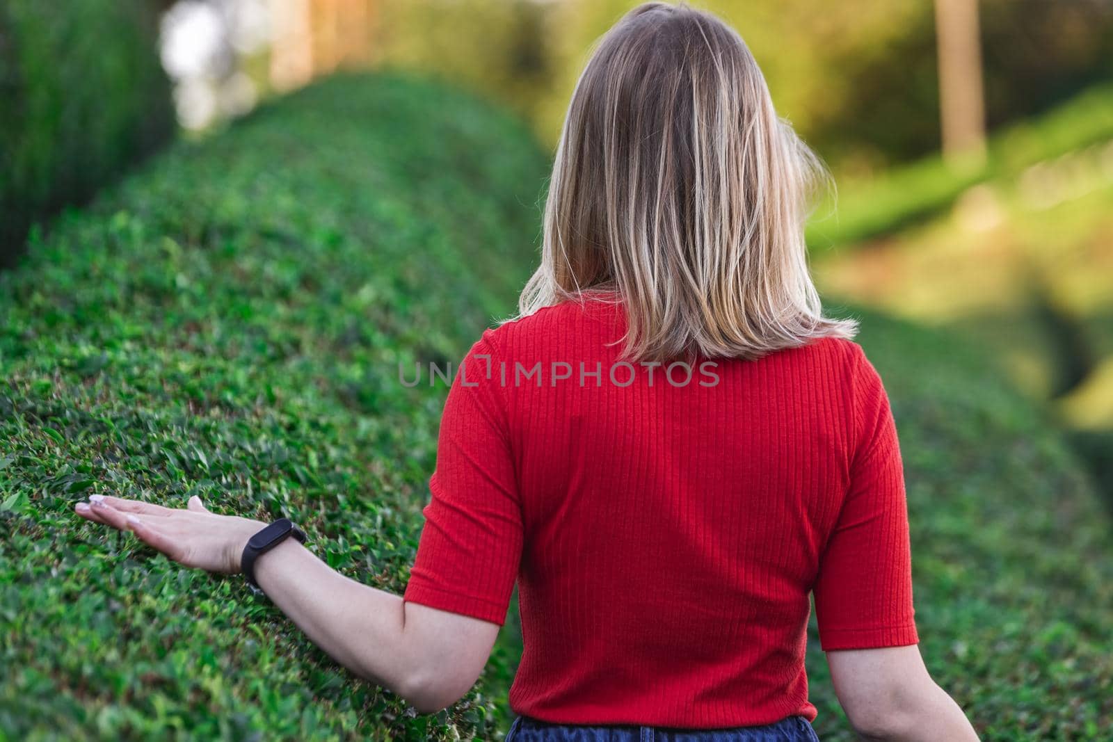 Tea plantations near Rize in Turkey editorial by RuslanKphoto