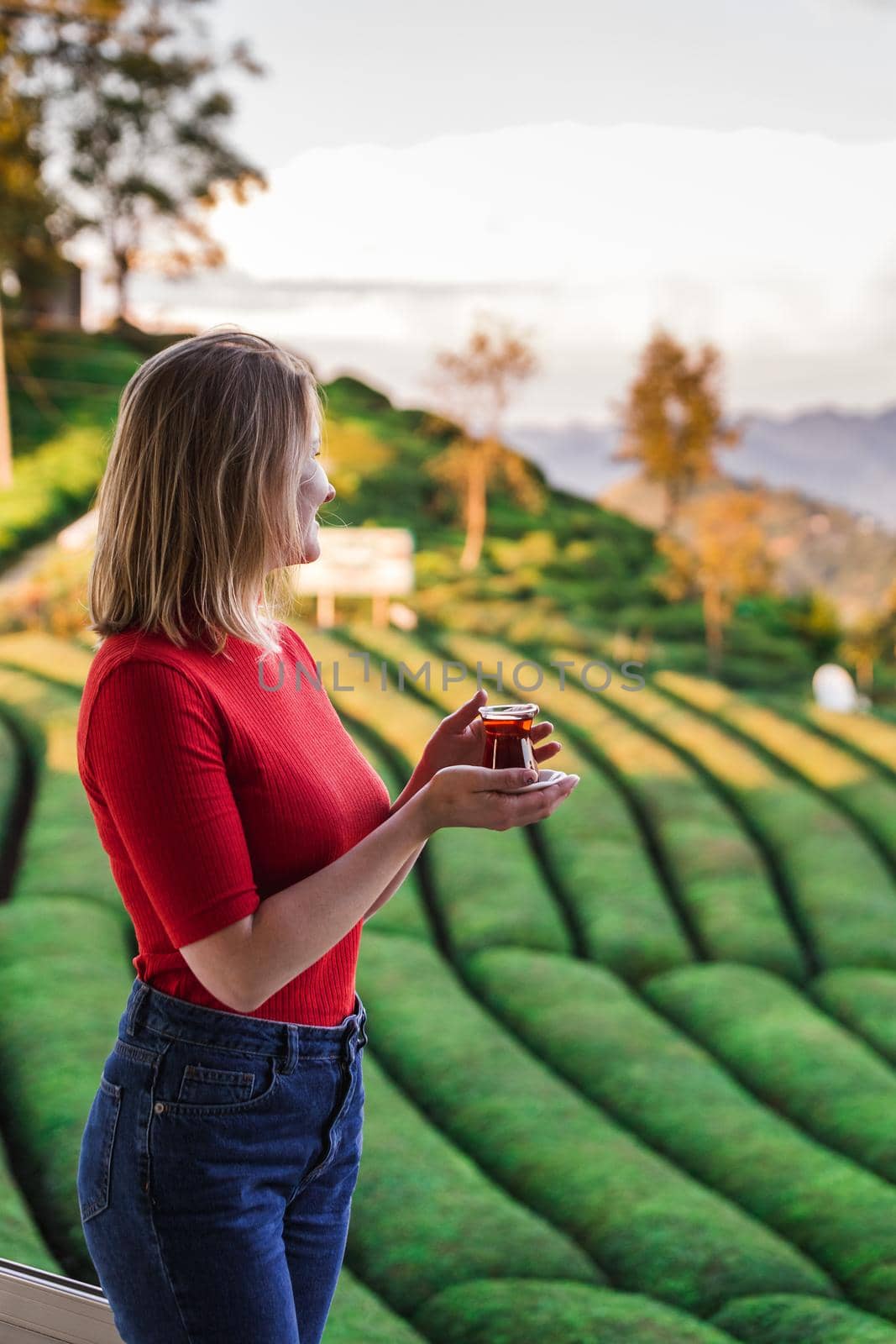 Beautiful lady in a red blouse holding traditional tea cup full with local hot beverage at the tea plantation in Haremtepe Ceceva village, Rize, Turkey.