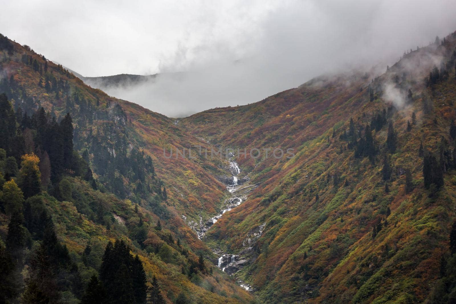Ayder Plateau Natural Gelintulu Waterfall surrounded by autumn colors near Rize, Turkey.
