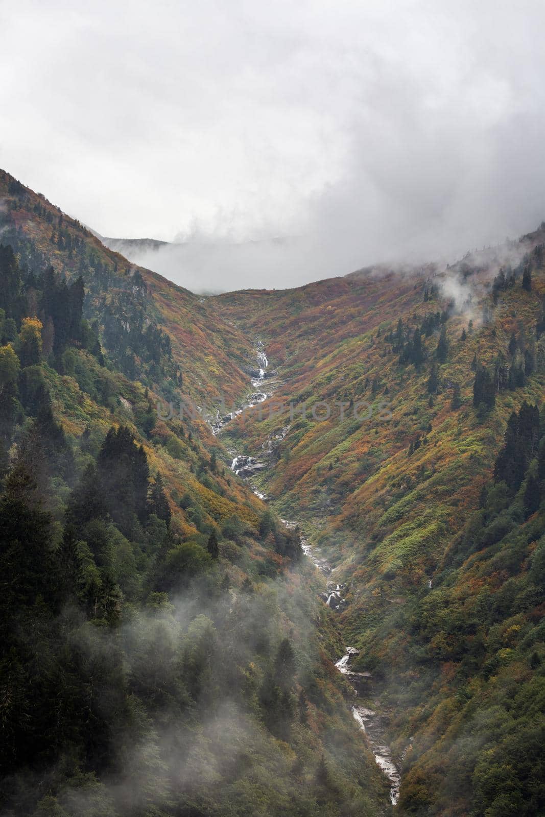 Ayder Plateau Natural Gelintulu Waterfall surrounded by autumn colors near Rize, Turkey.