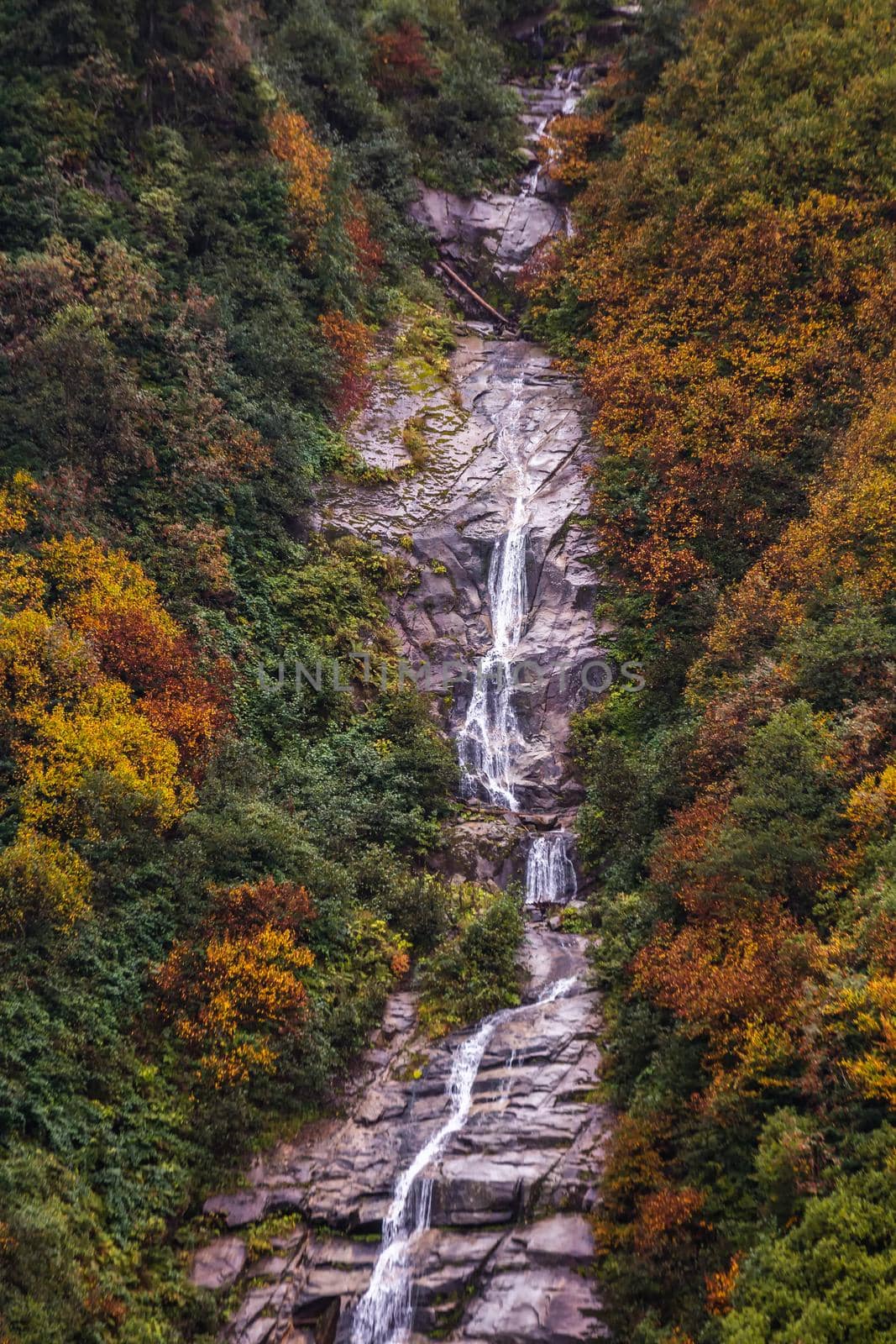 Ayder Plateau Natural Gelintulu Waterfall surrounded by autumn colors near Rize, Turkey.