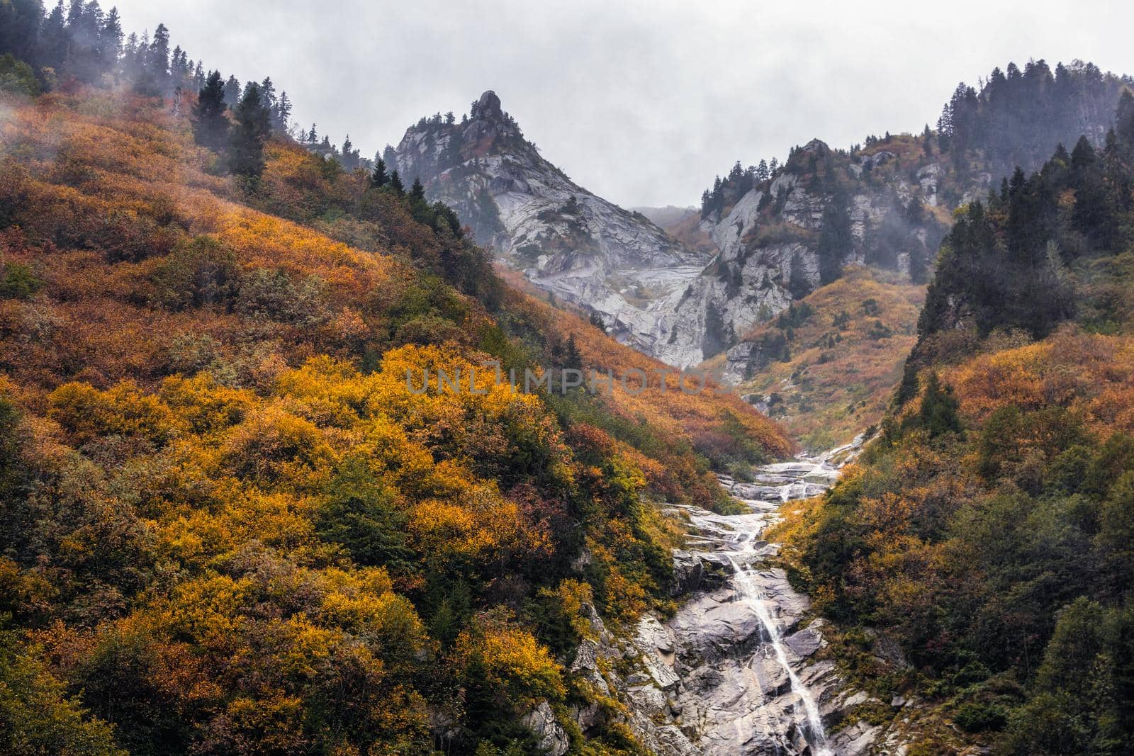 Ayder Plateau Natural Gelintulu Waterfall surrounded by autumn colors near Rize, Turkey.