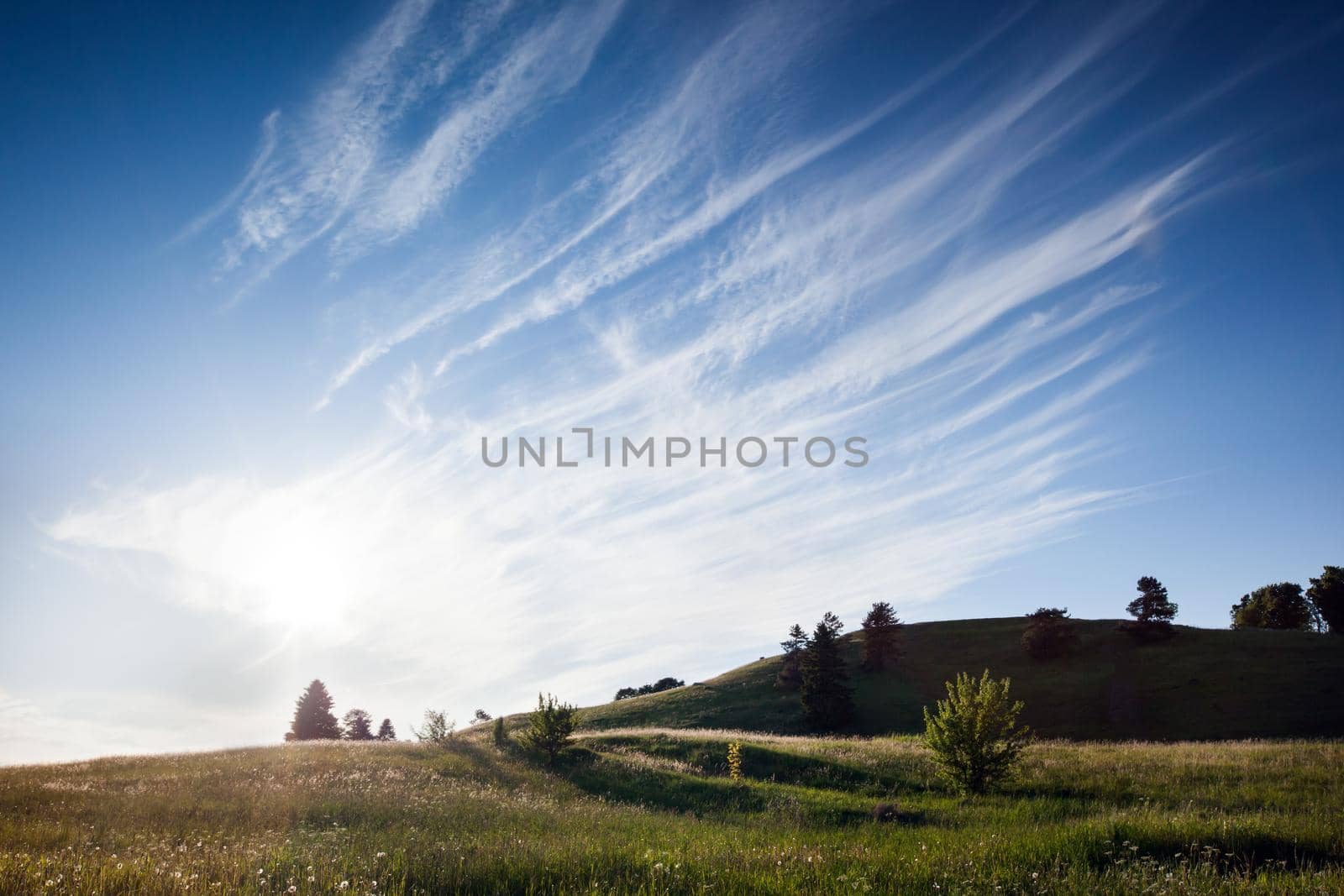 Lithuanian landscape with a delicate feathered filament cloud pauses for thought against a luminescent clear blue sky