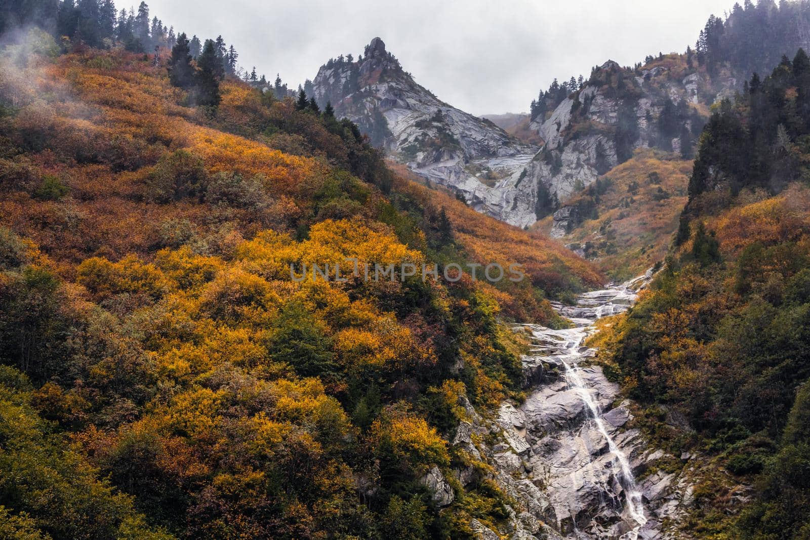 Ayder Plateau Natural Gelintulu Waterfall surrounded by autumn colors near Rize, Turkey.