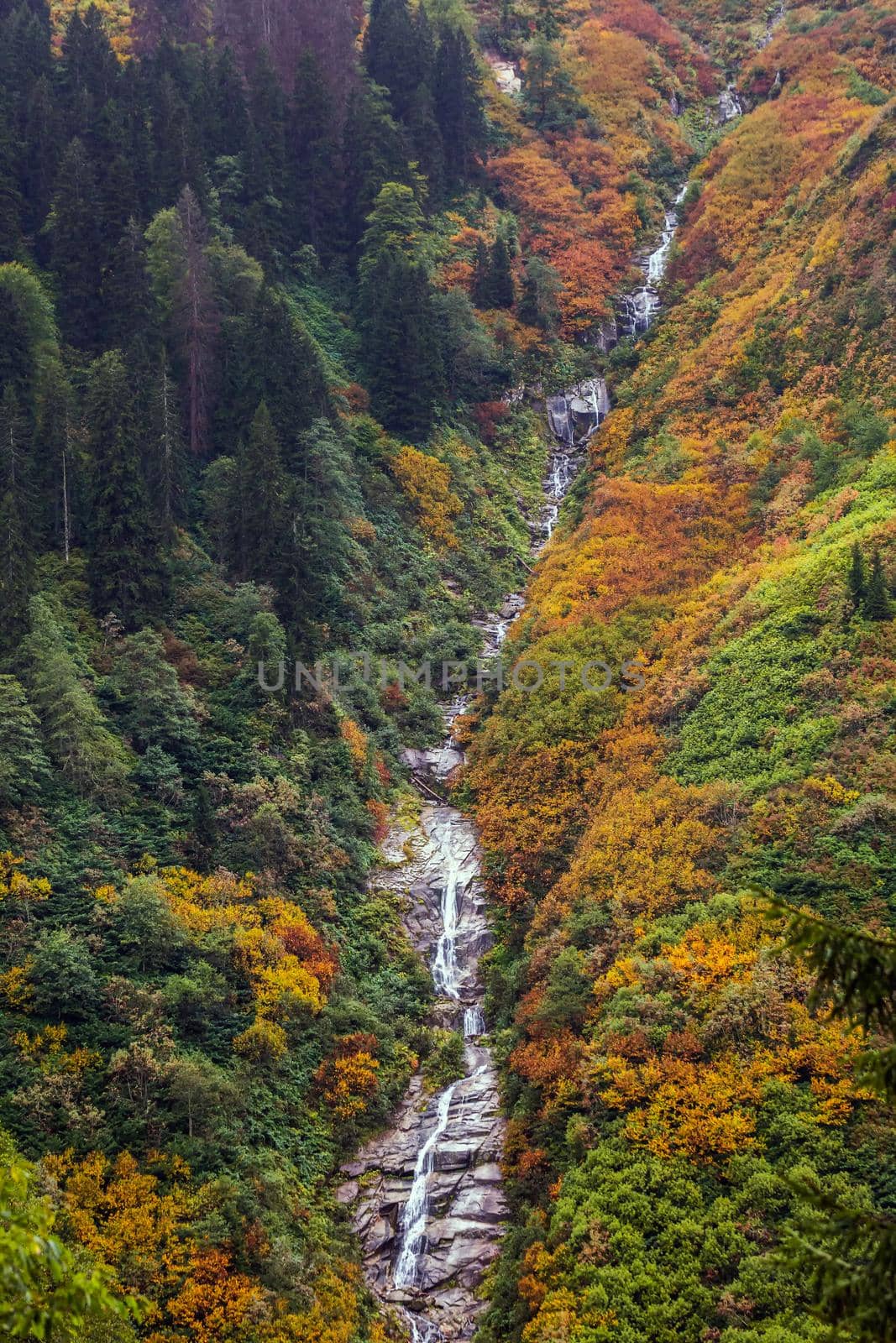 Ayder Plateau Natural Gelintulu Waterfall surrounded by autumn colors near Rize, Turkey.