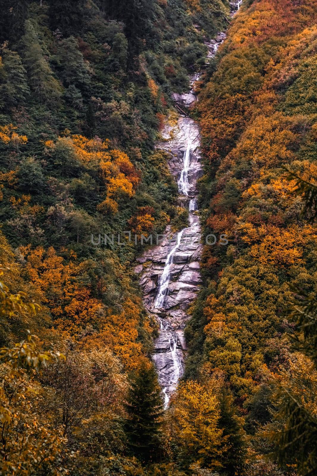 Ayder Plateau Natural Gelintulu Waterfall surrounded by autumn colors near Rize, Turkey.