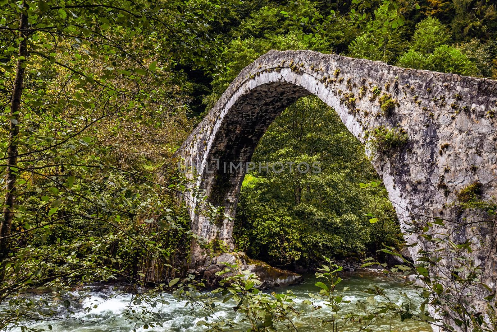 Famous Senyuva Cinciva Stone Bridge On The Storm Valley Firtina Vadisi, Rize, Turkey.