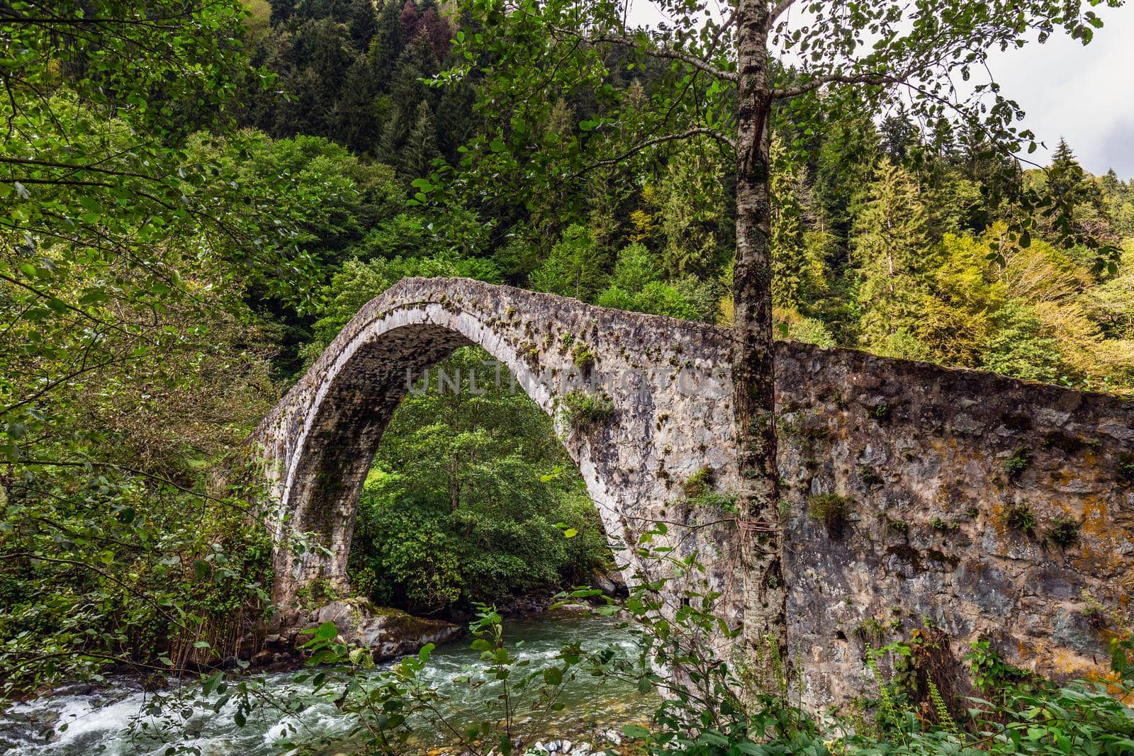 Famous Senyuva Cinciva Stone Bridge On The Storm Valley Firtina Vadisi, Rize, Turkey.
