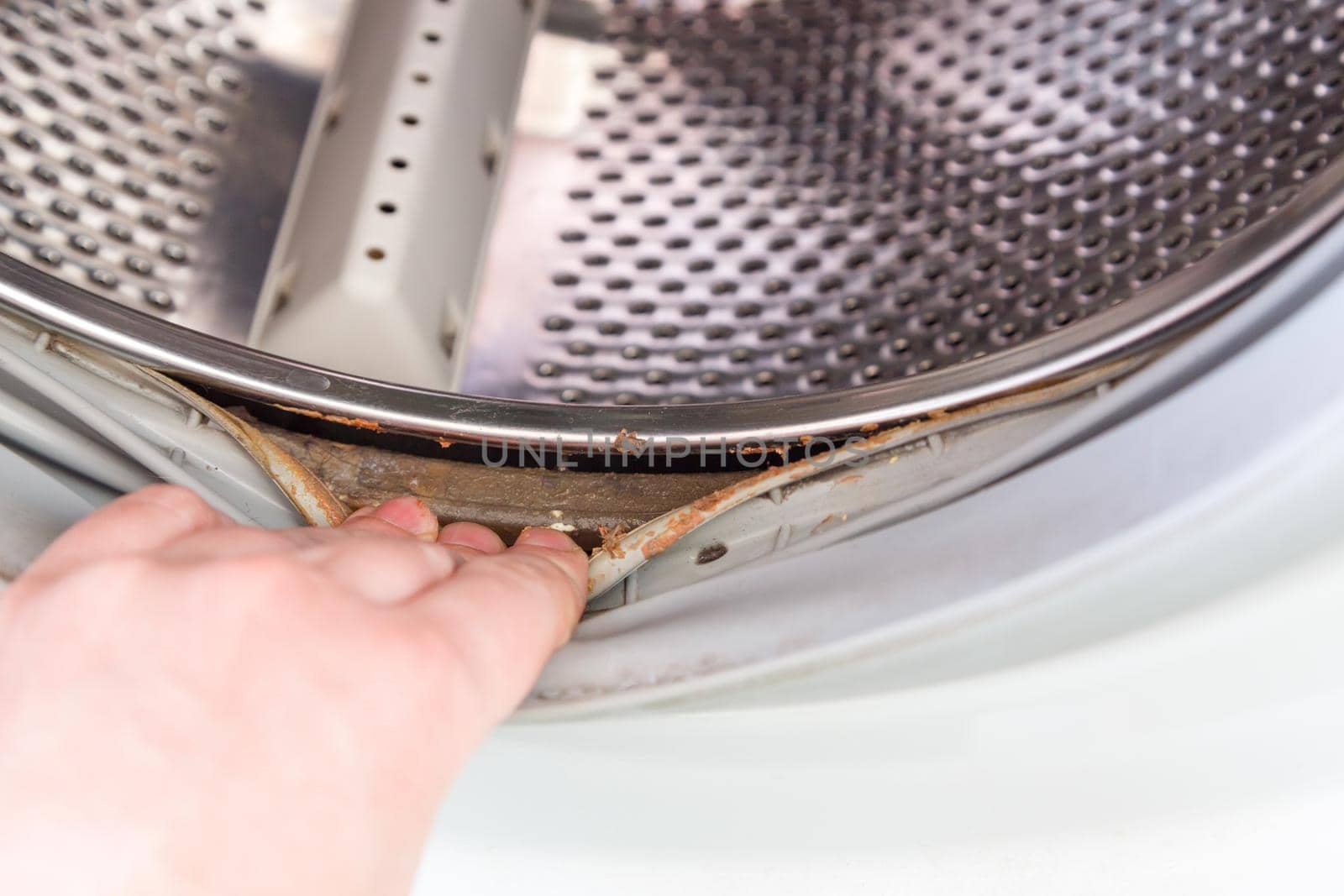 the hand protrudes the rubber band of the washing machine drum with a layer of dirt underneath.