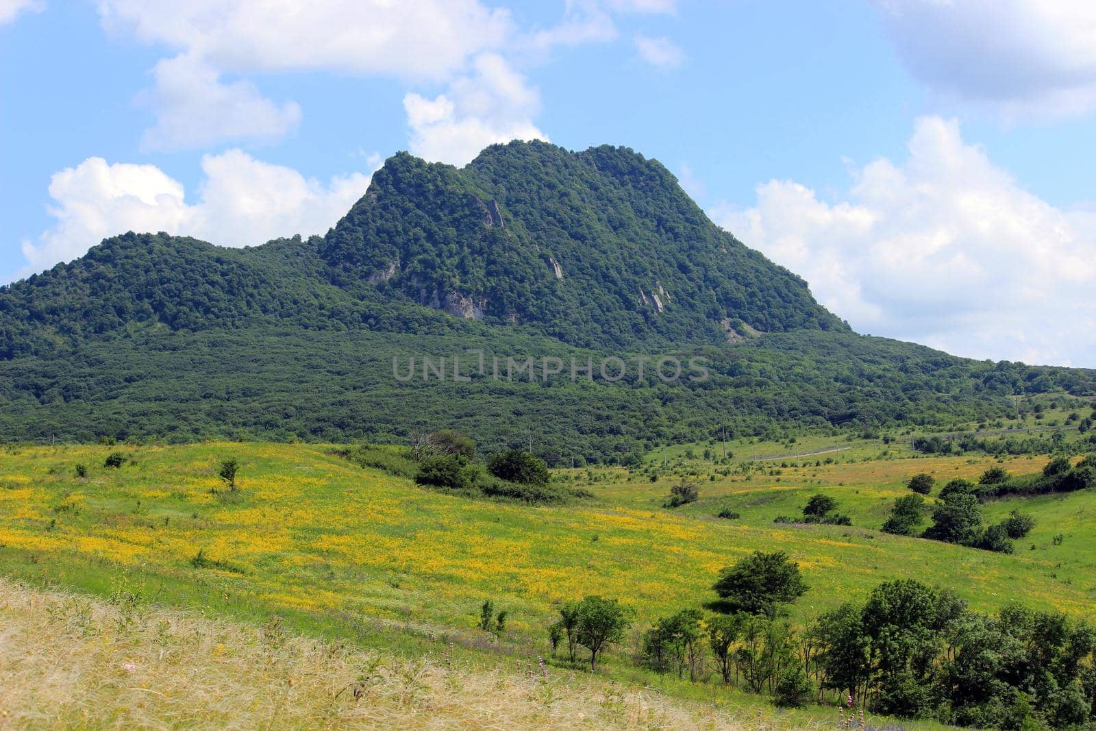 Mountain landscape, road to the mountains. Travel in the mountains.