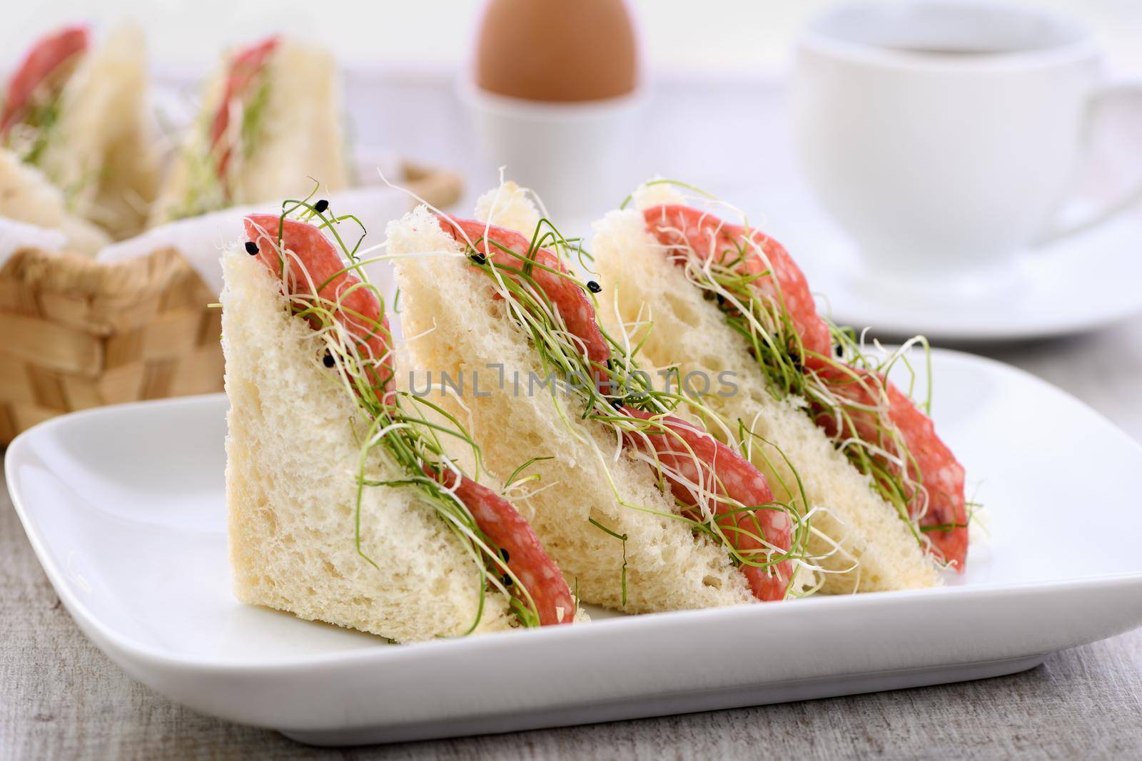 Wheat toast sandwich  with cream cheese with microgreen onion sprouts and salami. Healthy and fresh food.