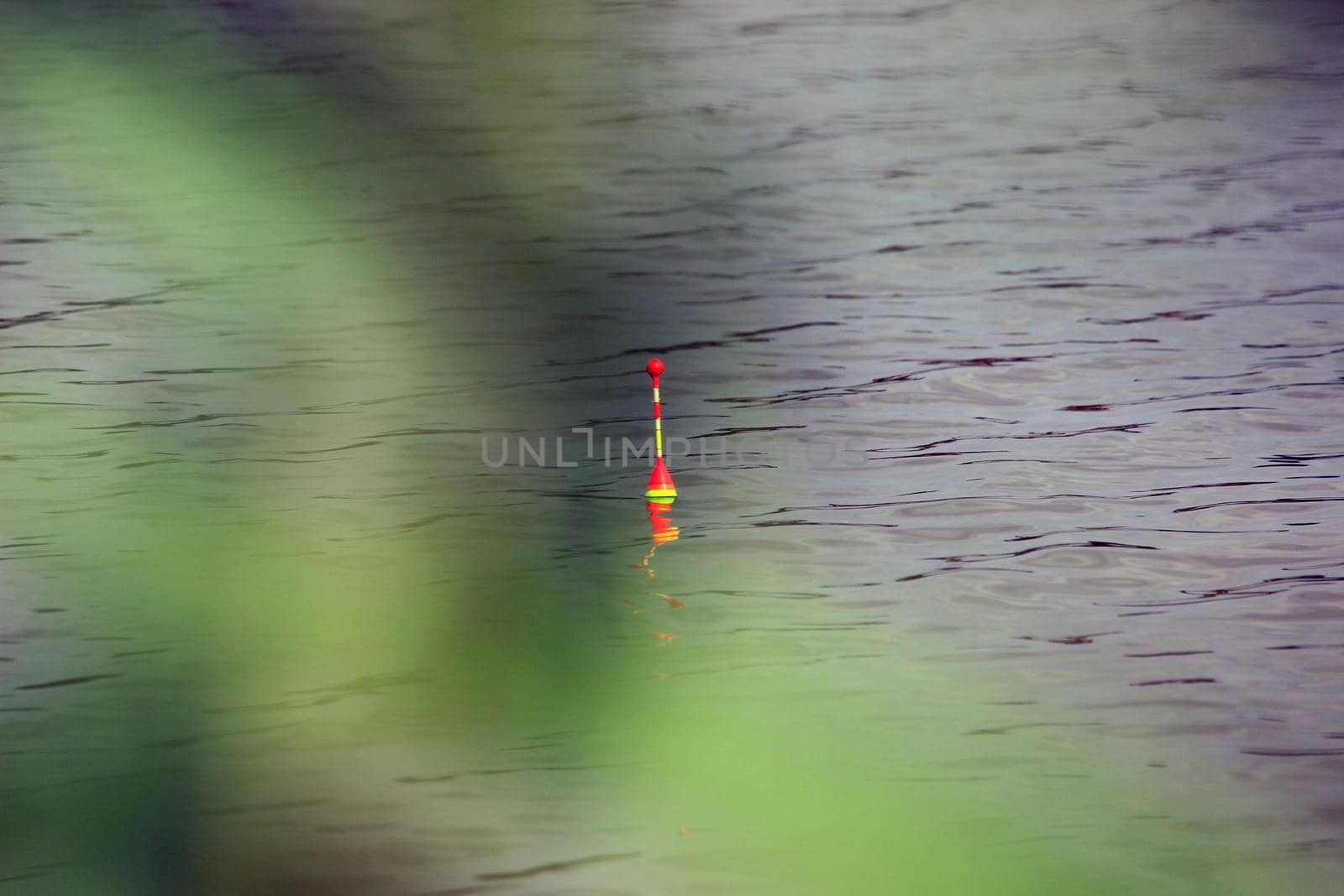 Fishing with a float on the lake. Fishing tackle with float. by Olga26