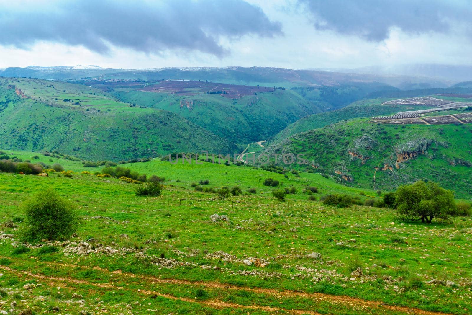 View of landscape and countryside along the Dishon valley, Upper Galilee, Northern Israel