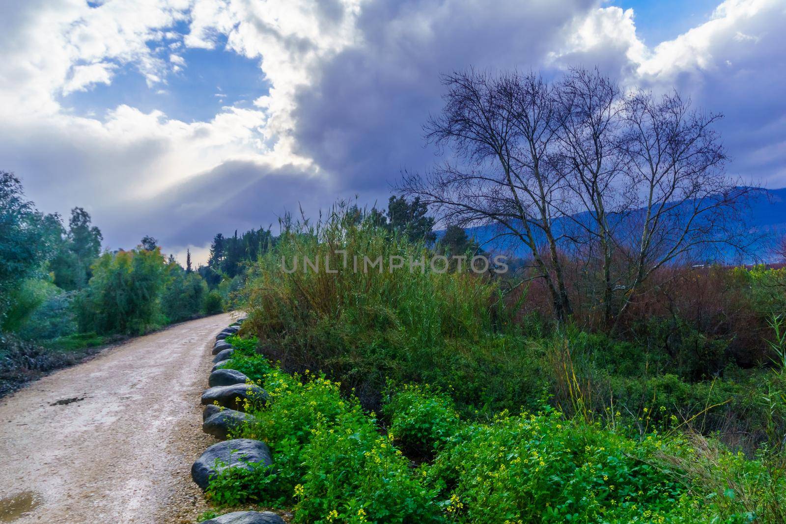 View of a footpath and clouds along the Dan stream, a source of the Jordan River. Hula Valley, Northern Israel