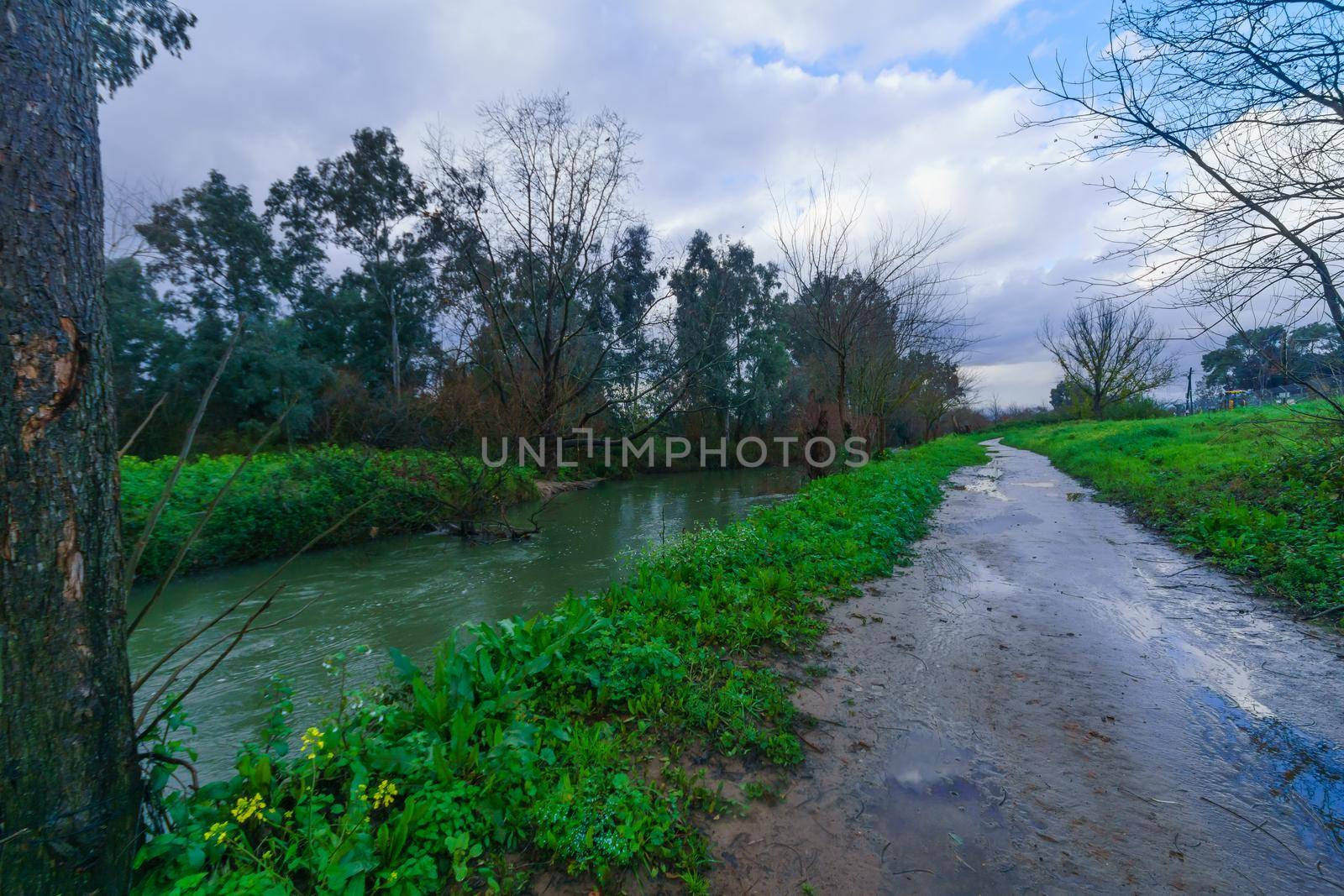 View of the Dan stream, a source of the Jordan River. Hula Valley, Northern Israel