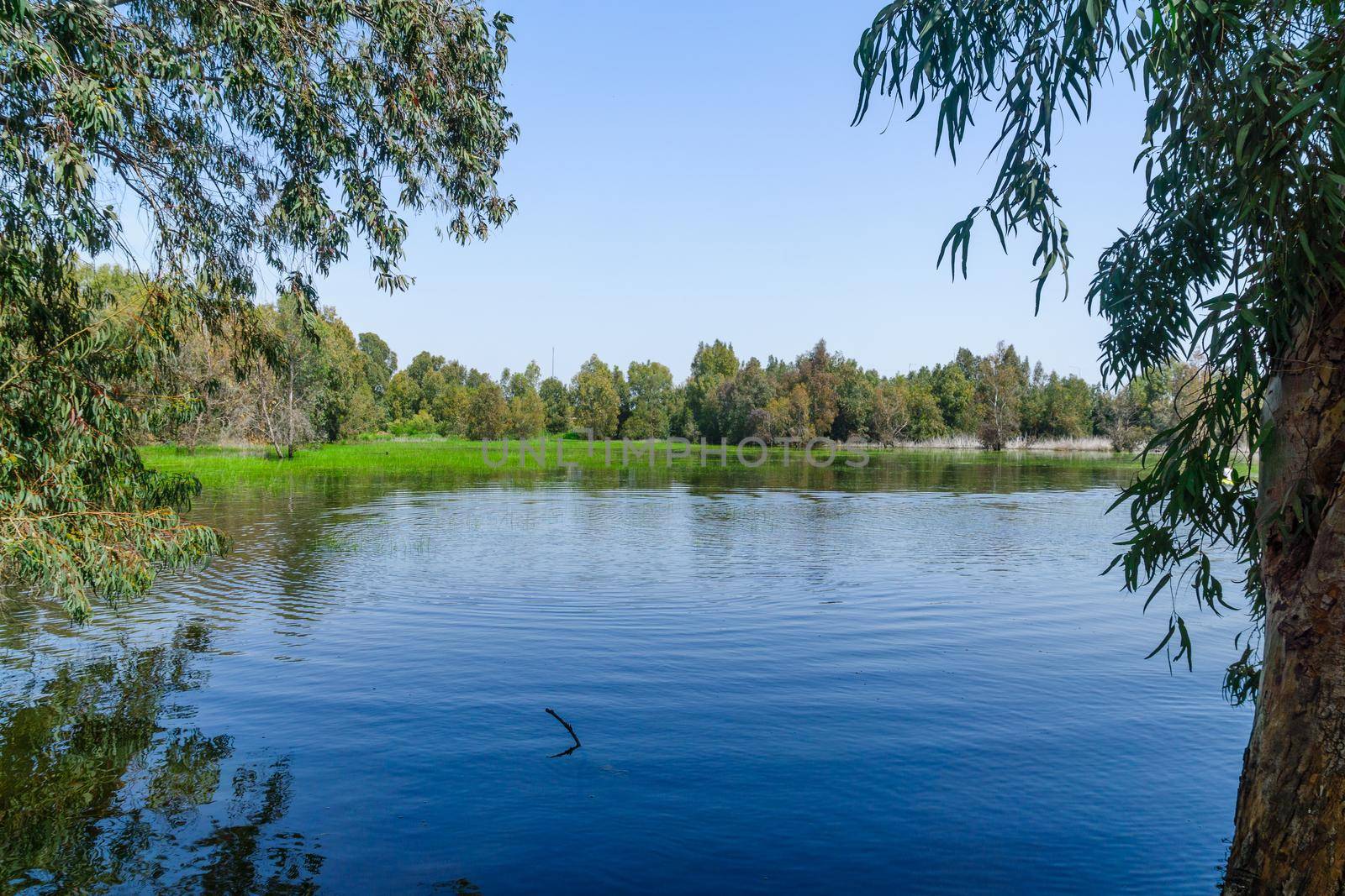 View of the Berekhat Yaar (forest pool) nature reserve, part of HaSharon park, in Hadera, Northern Israel