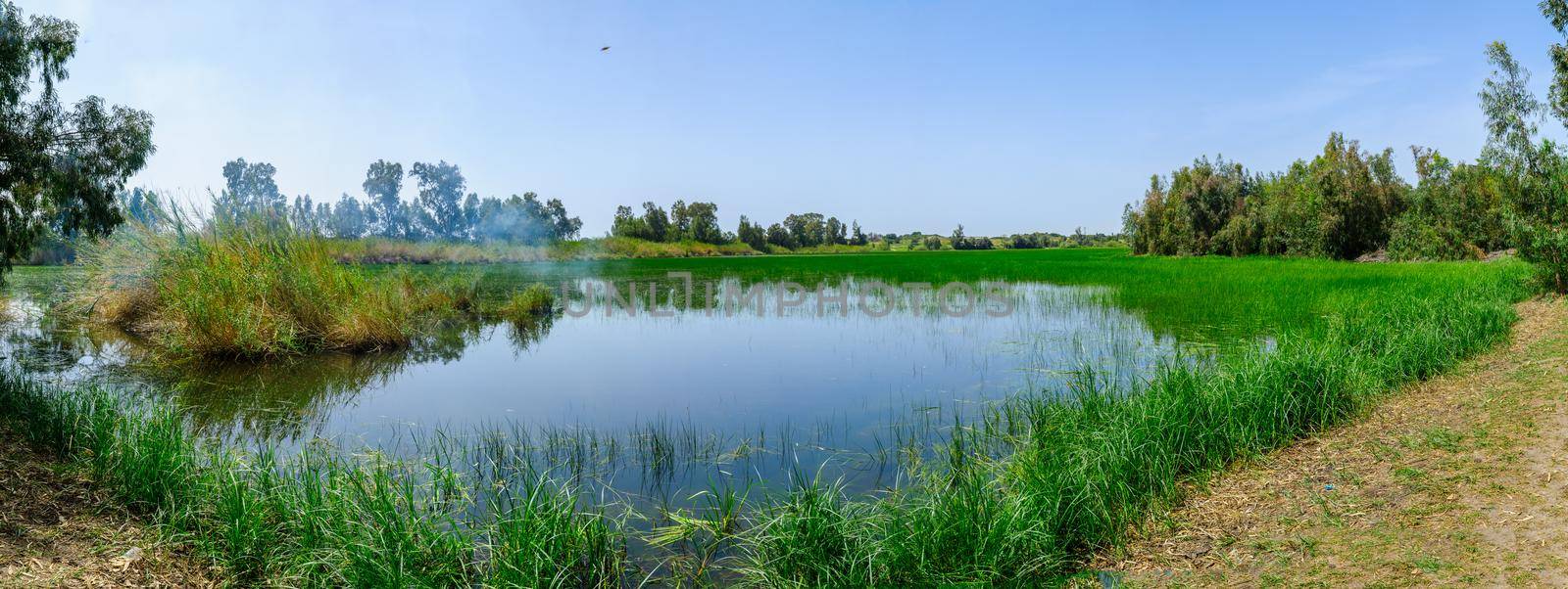 Panoramic view of the Berekhat Yaar (forest pool) nature reserve, part of HaSharon park, in Hadera, Northern Israel