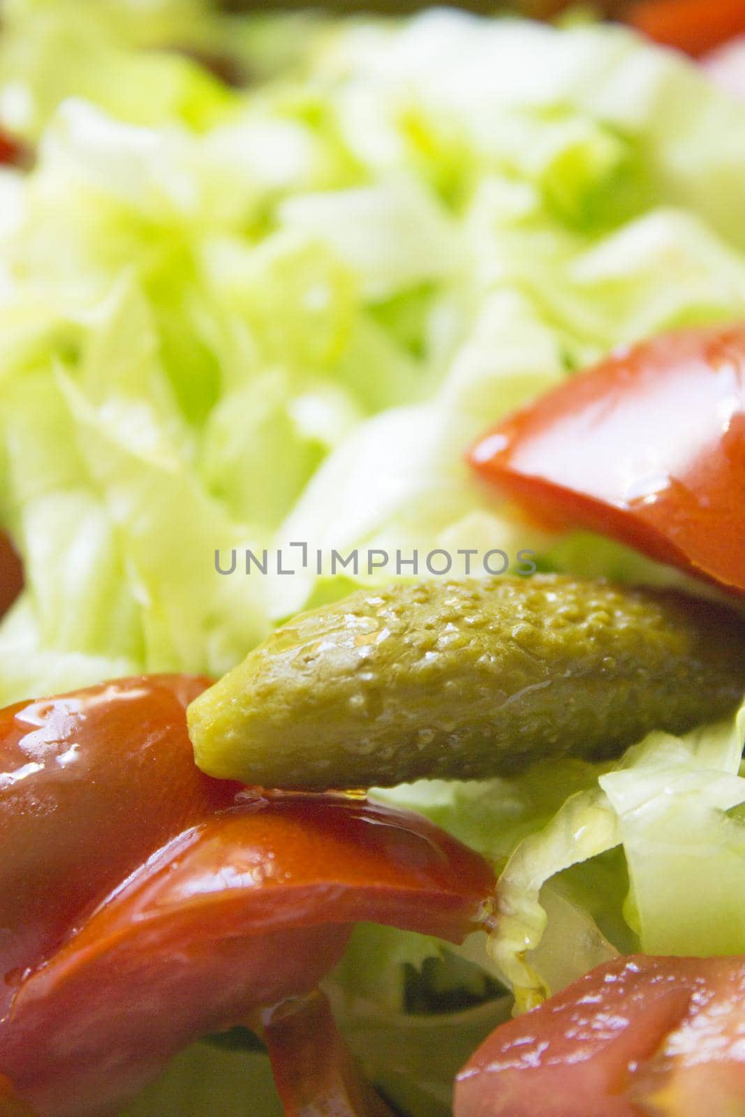 Lettuce salad with tomato and pickles. Raw food