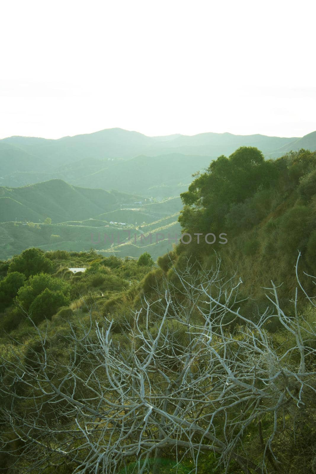 Cloudy sunset landscape. Mountain with vegetation. No people