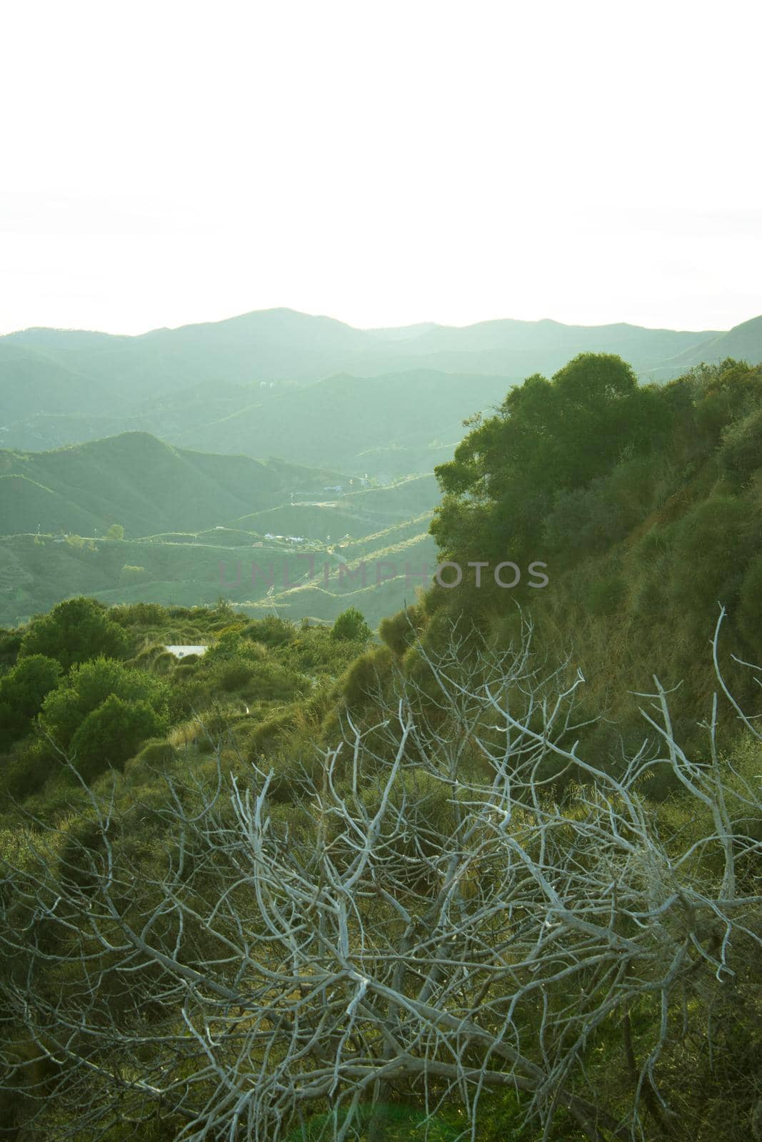 Cloudy sunset landscape. Mountain with vegetation. No people