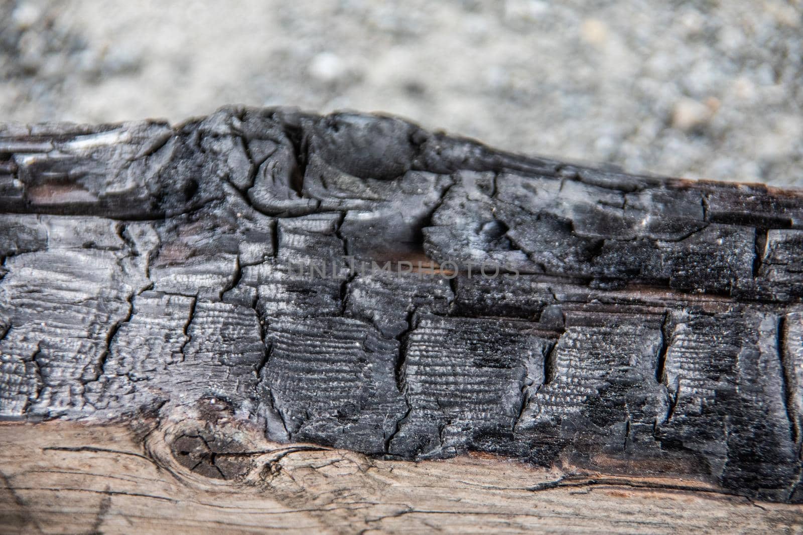 charred beam after house fire