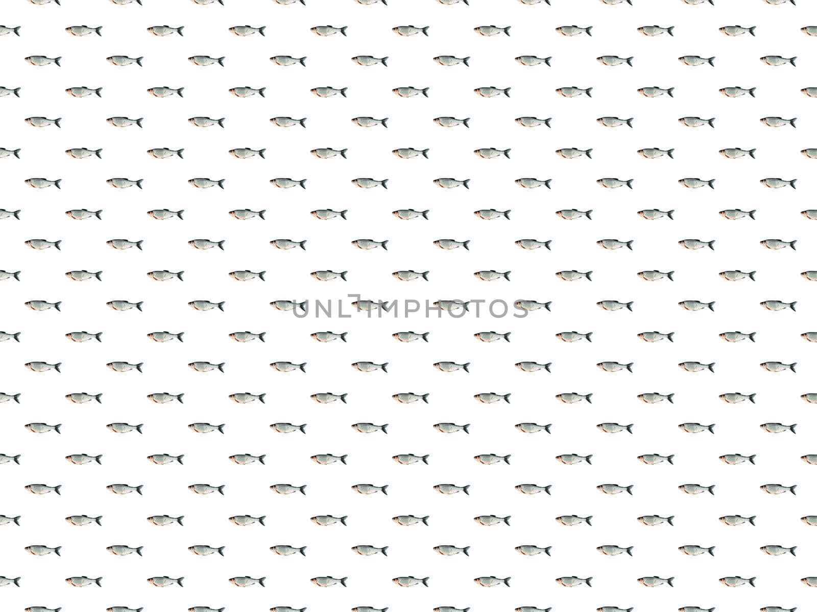 Set of river fish seamless patterns. Fisherman's dream. Suitable for use in printed materials or wrapping paper.