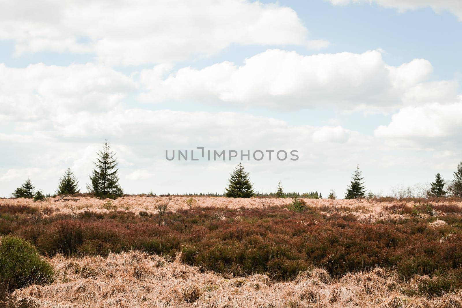 The High Fens, Hoge Venen, Belgium, Signal Van Botrange