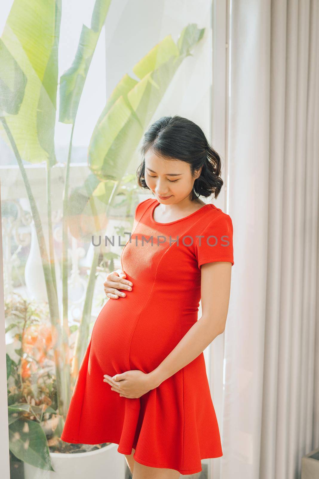 beauty pregnant women stand in the room