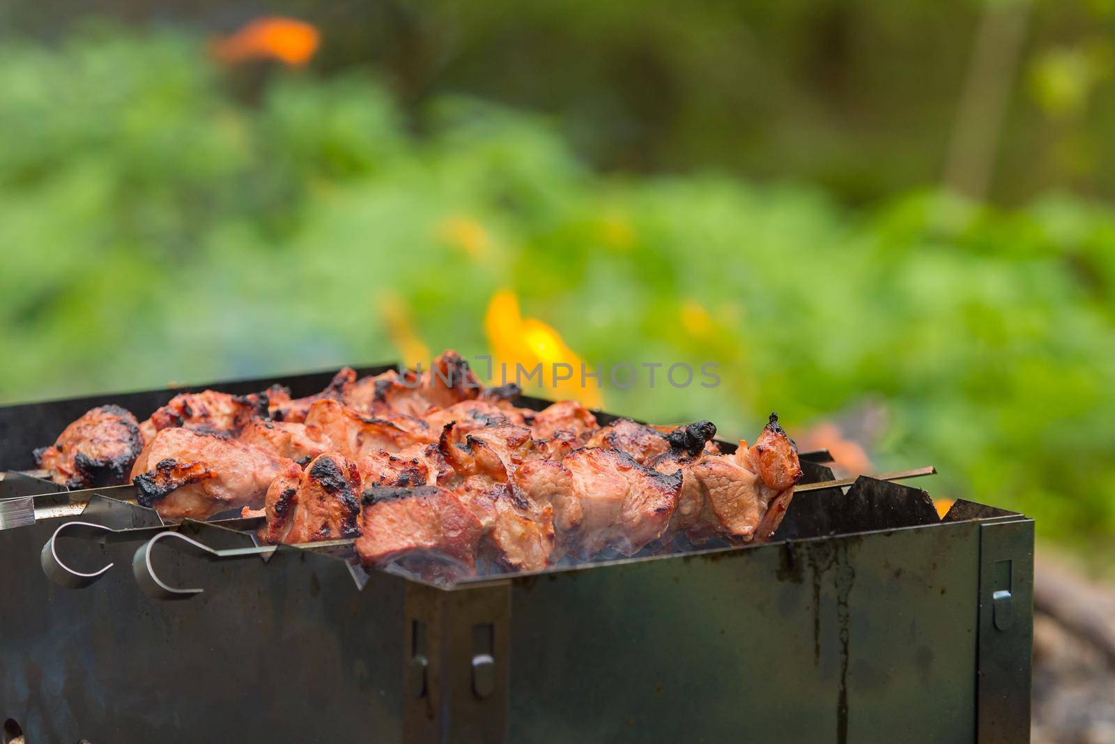 Pork kebab is cooked on skewers. Summer, picnic. Close-up