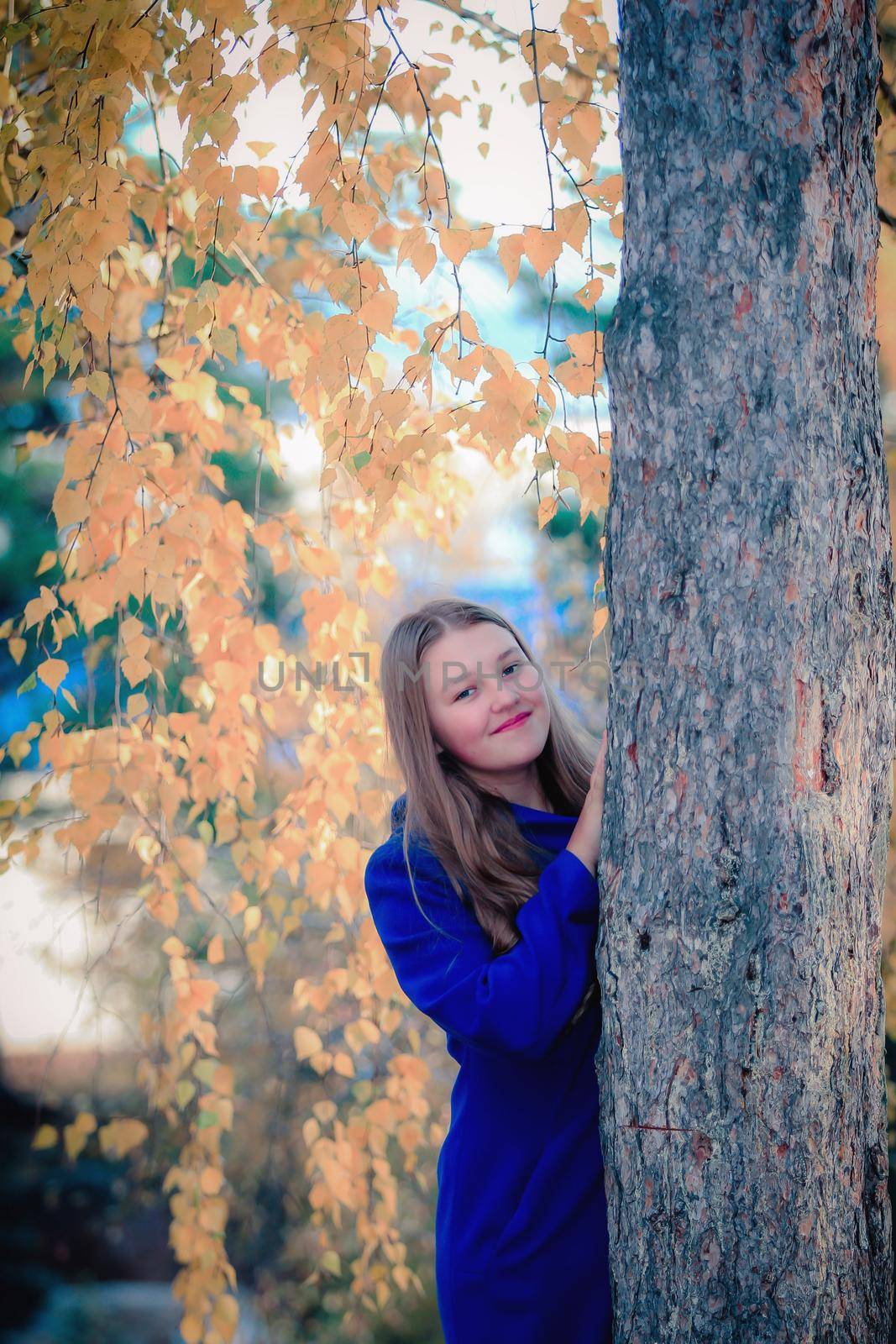 A young girl walks in the autumn park, stands behind a tree. The trees have yellow leaves.