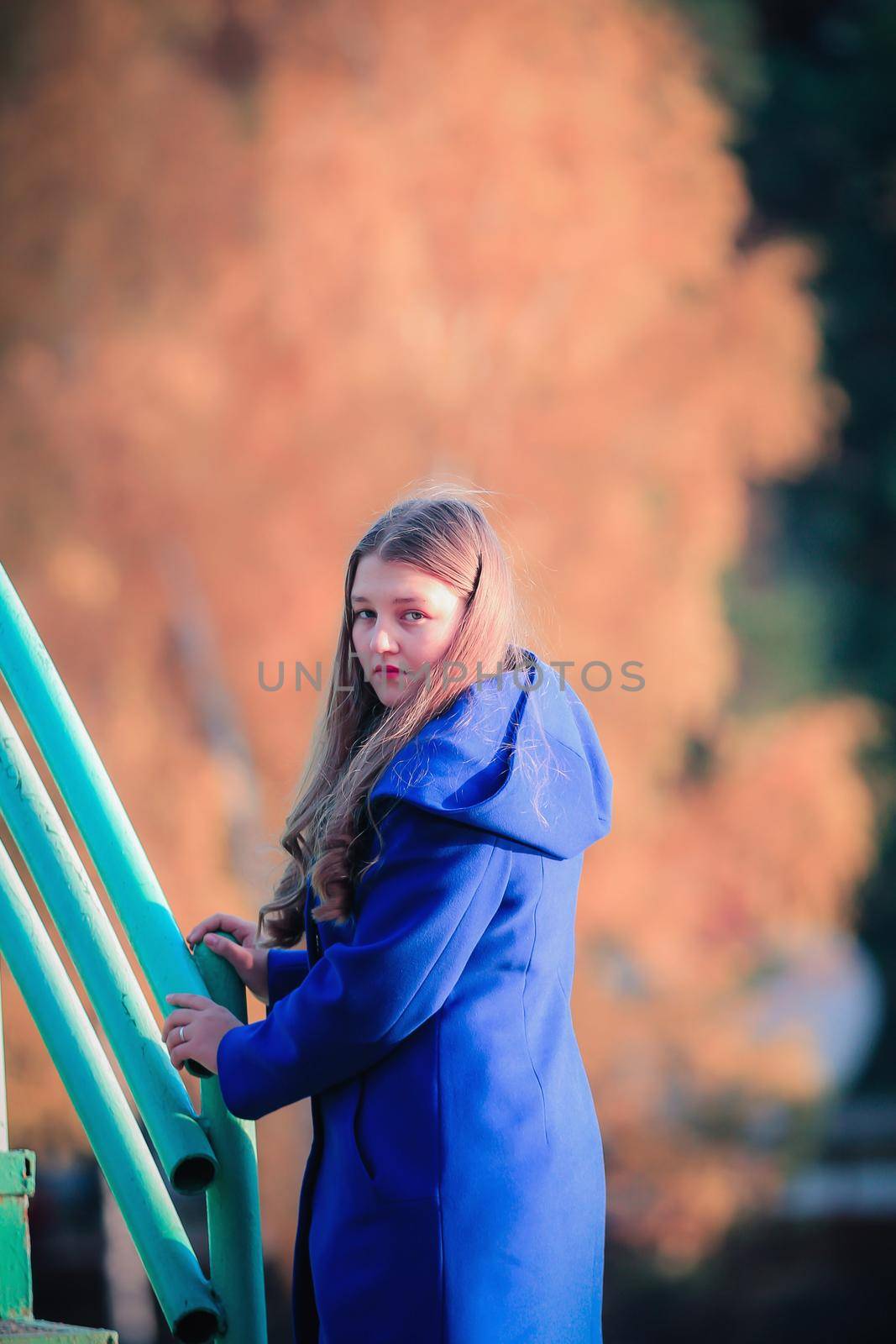 A young girl walks in the autumn park, stands behind a tree. The trees have yellow leaves.