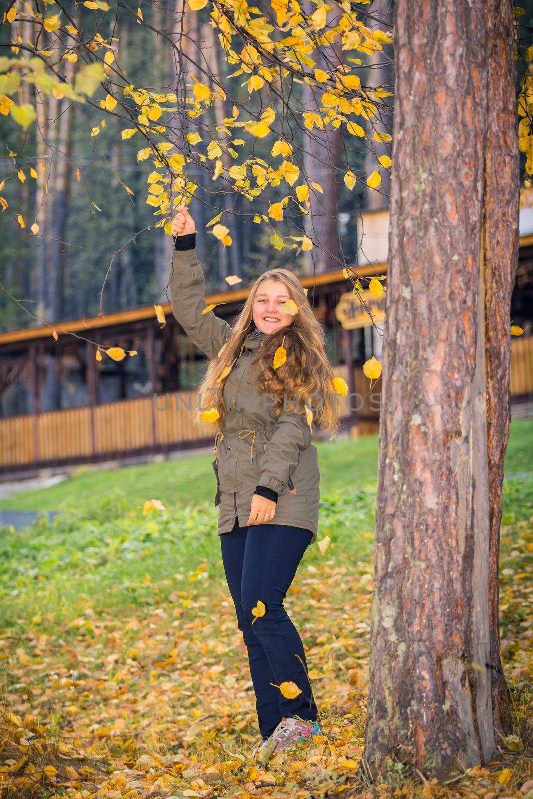 A young girl walks in the autumn park, stands behind a tree. The trees have yellow leaves.