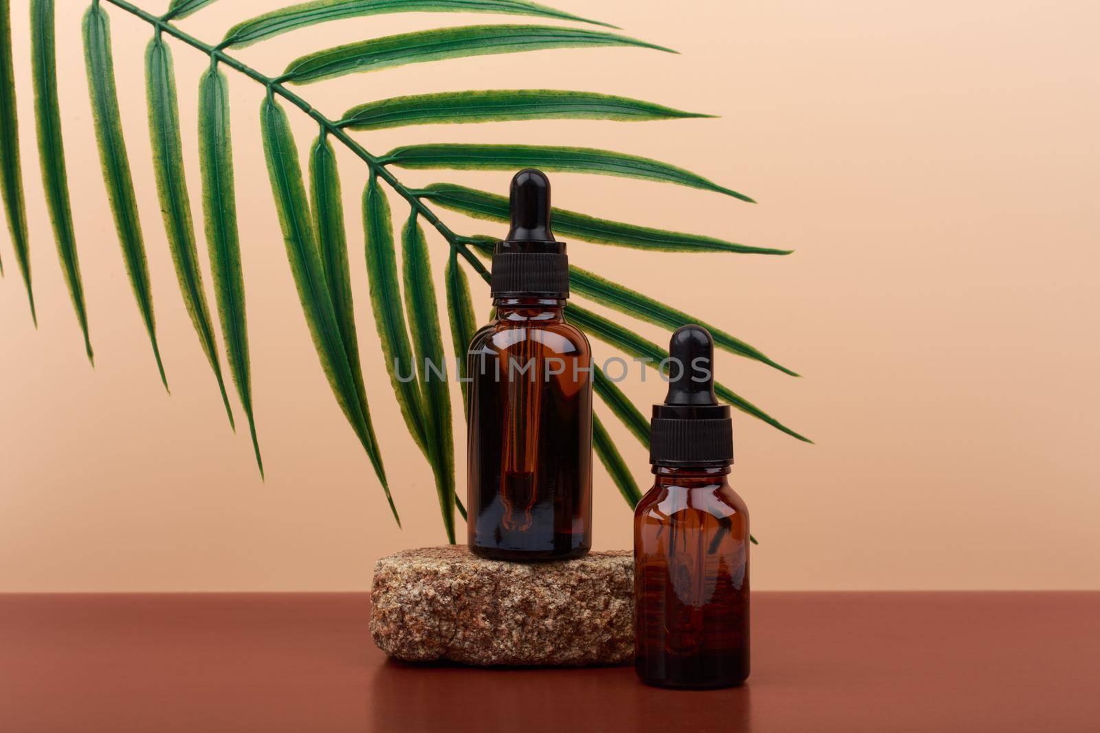 Two skin serums in dark glass bottles on stone against beige background with palm leaf. Concept of anti aging skin care products for woman